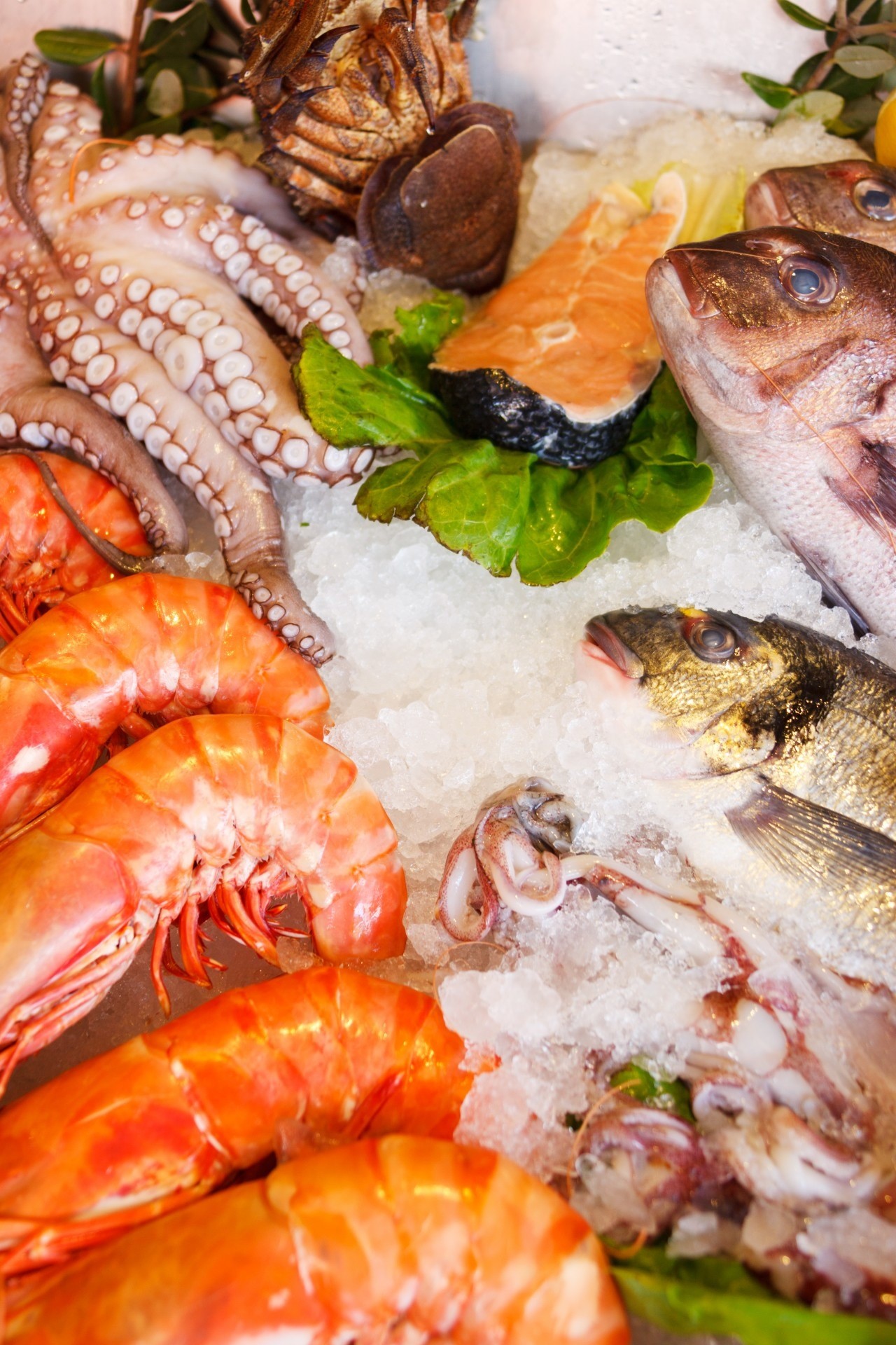 healthy, shrimp - seafood, nutrition, healthy eating, vertebrate, fresh, seafood, fish market, wellbeing, gourmet, japanese food, animal, diet, meal, ice, Phone HD Wallpaper