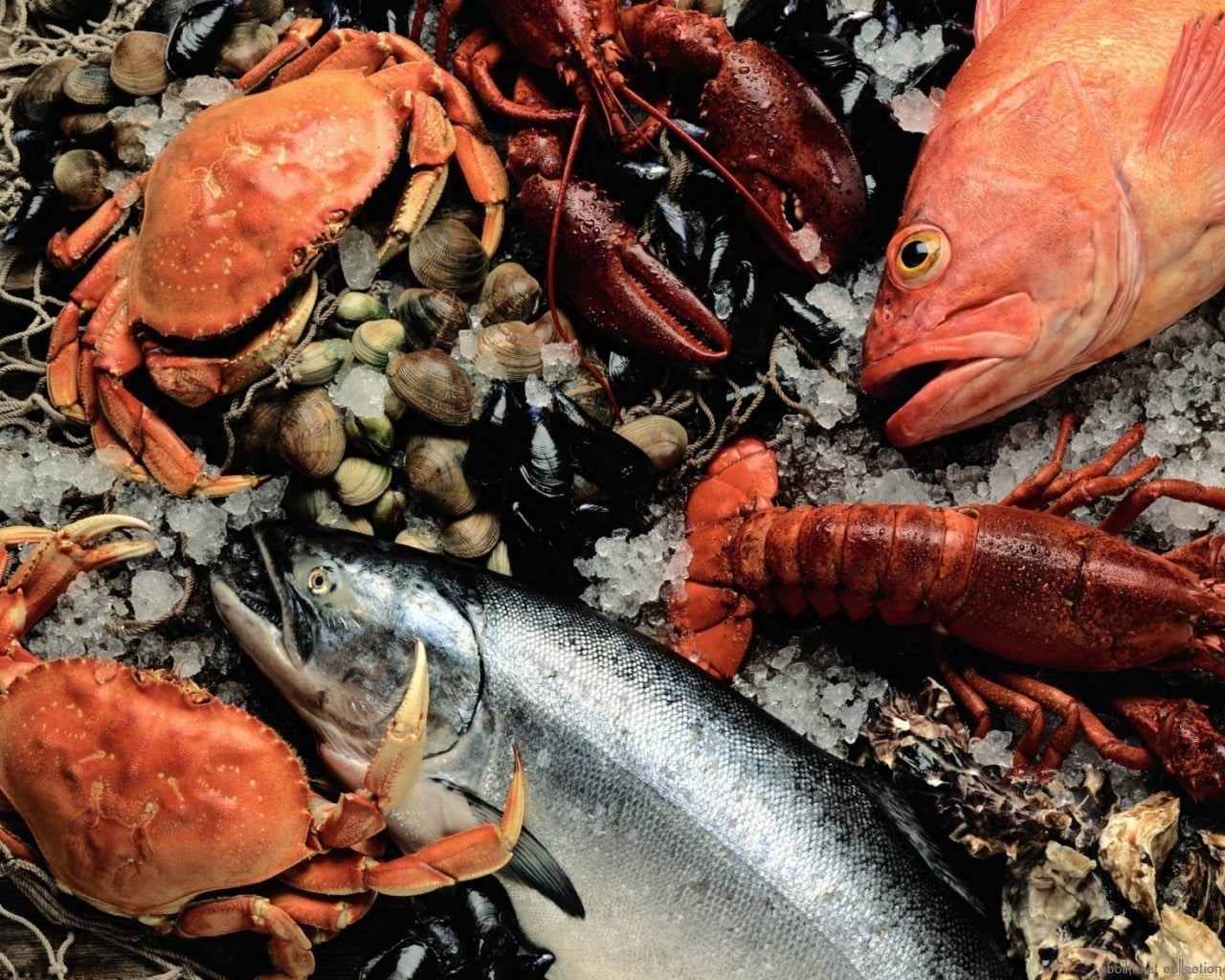vertebrate, fish, gourmet, ice, animal, cooking, lobster, group of animals, red, sea Life, prepared Fish, food, no People, lobsters, animal themes, nature, HD Wallpaper