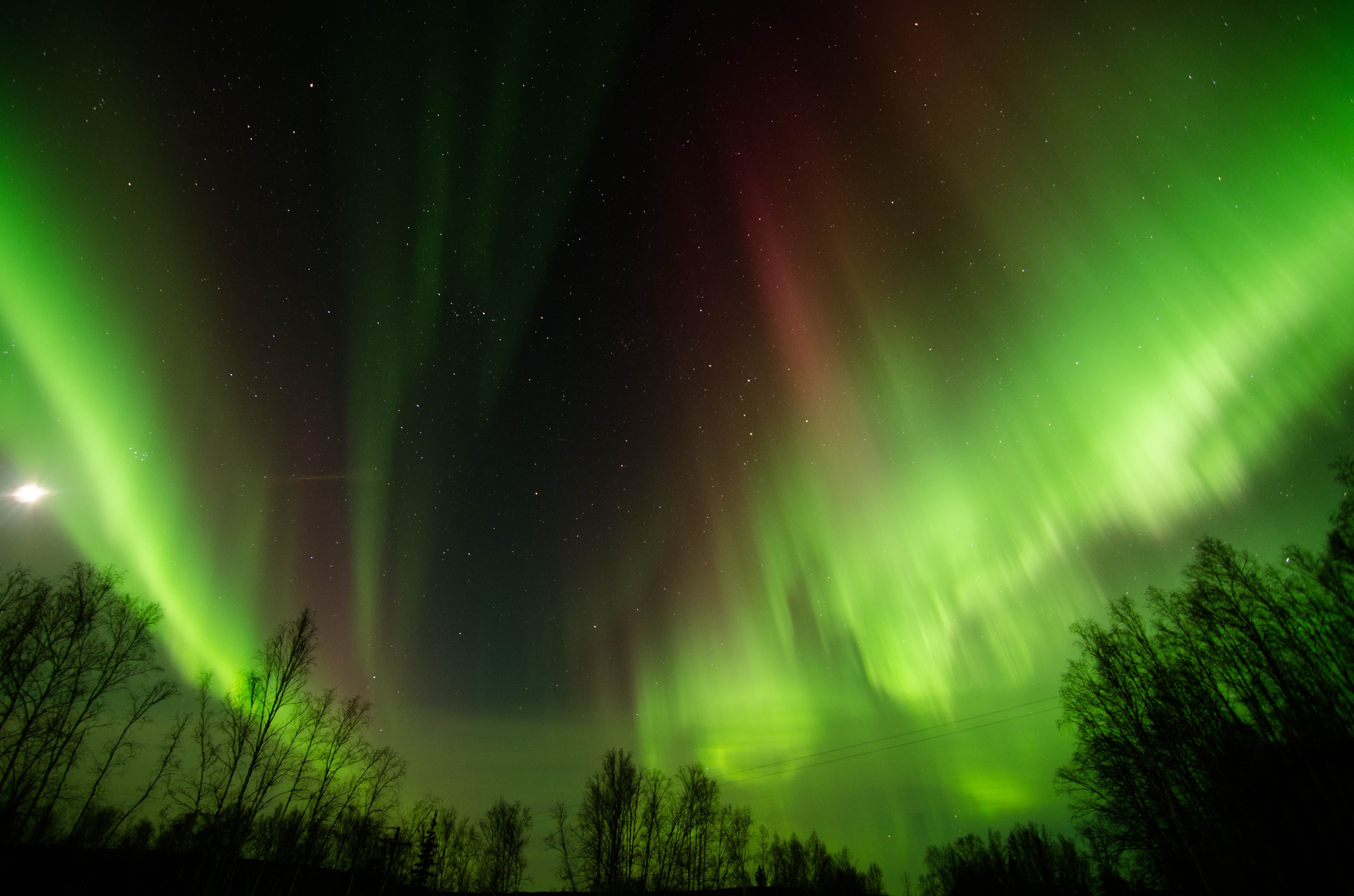 star - Space, Fairbanks  ALaska, photo, lights, aurora Borealis, Dome, Wickersham, Aurora  Borealis, 4K, aurora, Northern  Lights, night, aurora Polaris, HD Wallpaper