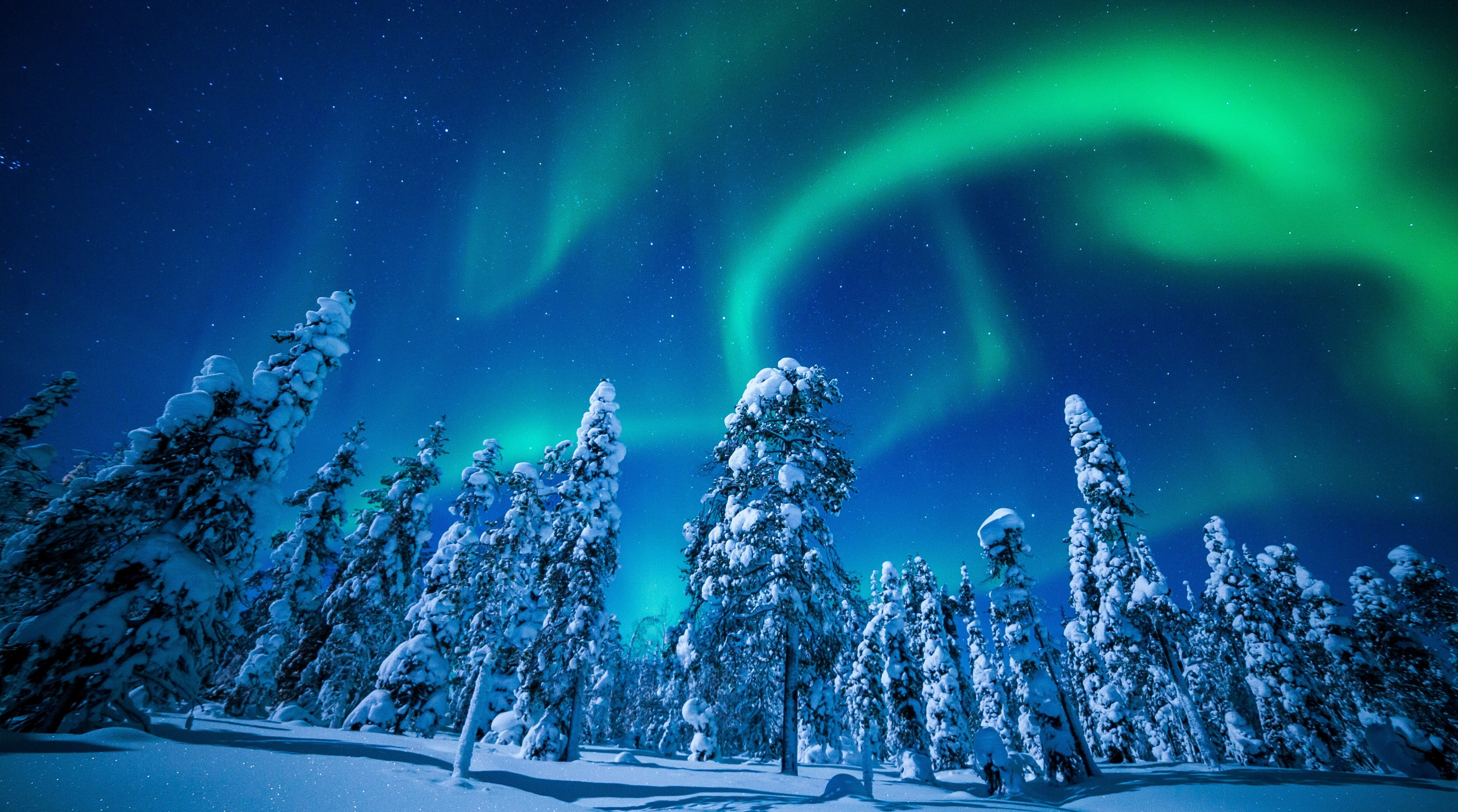 plant, lights, aurora polaris, northern, tranquility, sky, tranquil scene, green color, astronomy, finland, nature, space, Europe, environment, Night, frozen, HD Wallpaper
