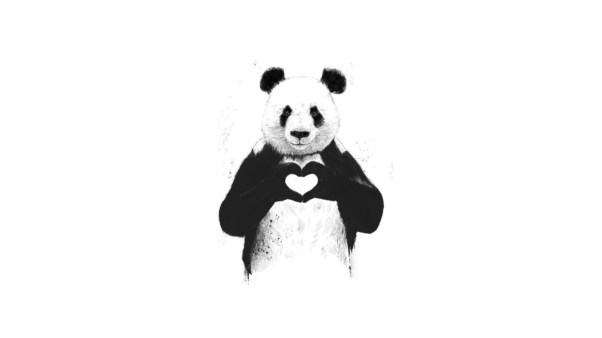 looking at camera, portrait, 1080P, teddy bear, animal wildlife, cut out, sign, mammal, hand, copy space, panda - animal, softness, panda, studio shot, HD Wallpaper