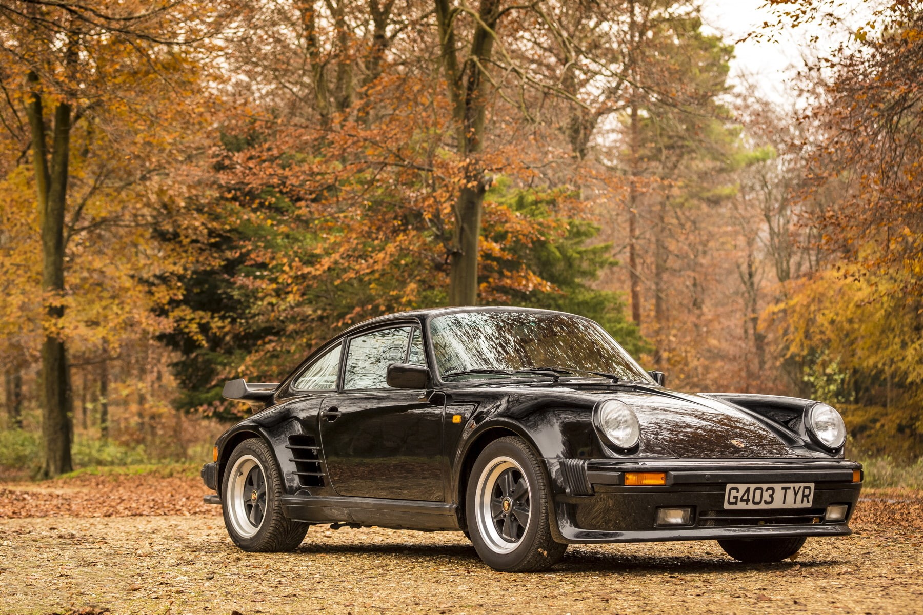 plant, metal, change, retro styled, 911, 930, no people, tree, turbo, day, edition, vintage car, transportation, leaf, forest, 1989, 720P, mode of transportation, HD Wallpaper