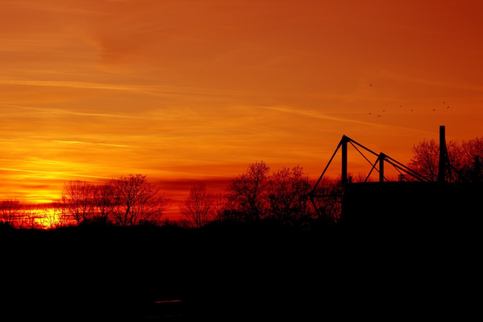 cloud - sky, BVB, tree, Borussia Dortmund, tranquility, no people, landscape, nature, 720P, tranquil scene, silhouette, Signal Iduna Park, idyllic, orange color, HD Wallpaper