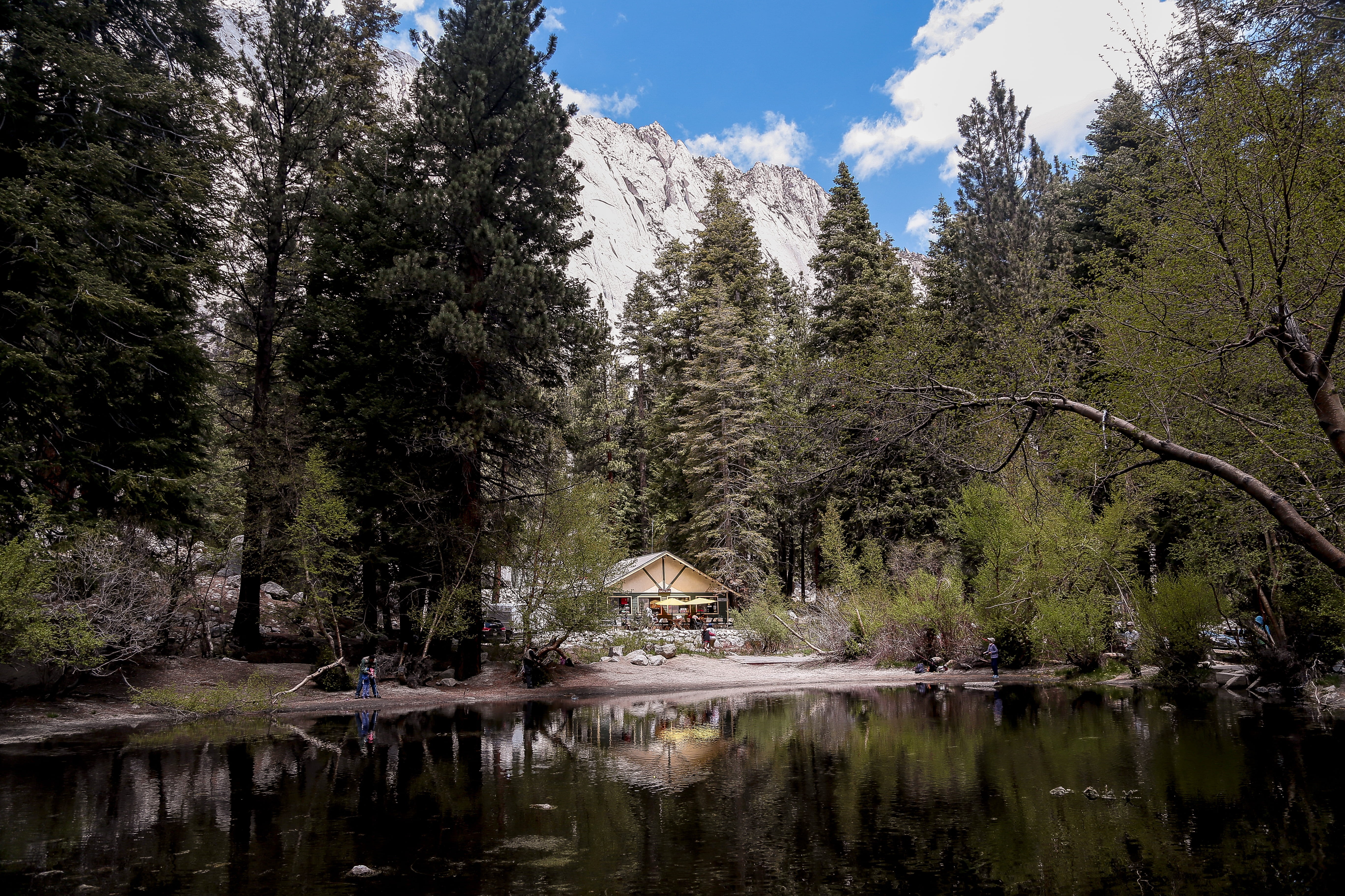 beauty in nature, united states, water, john muir, adventure, wanderlust, no people, growth, trail, tree, outdoors, travel, reflection, roadtrip, mt. whitney trailhead, HD Wallpaper