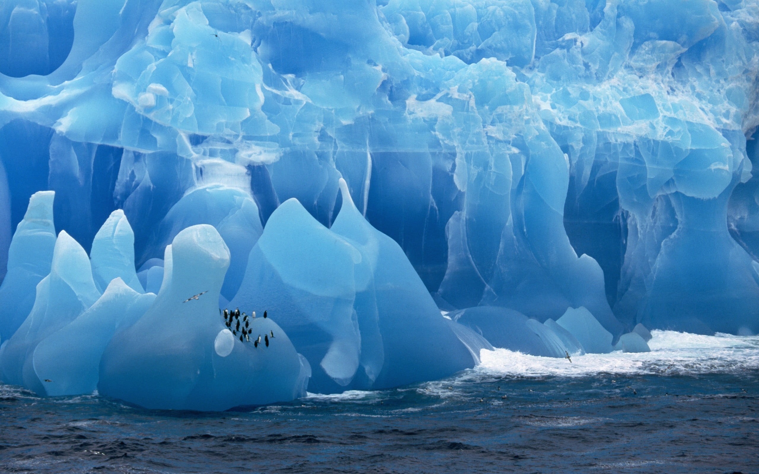 nature, cold temperature, no people, birds, ice, 2K, winter, environment, glacier, melting, Antarctica, beauty in nature, landscape, lagoon, iceberg, blue, HD Wallpaper