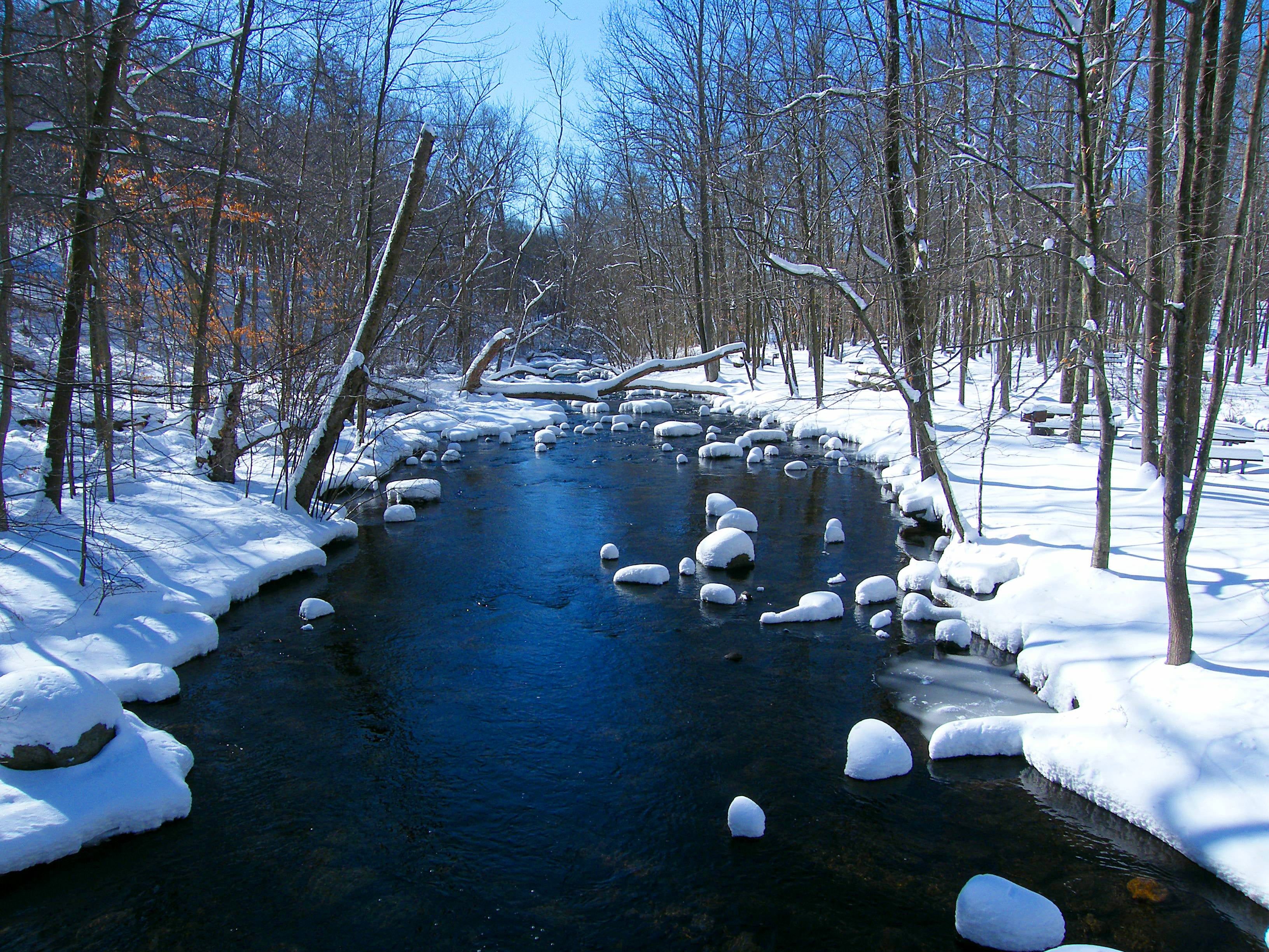 ice  river, season, Cold Blue, trees, scenics, cold - Temperature, Blue River, 2K, snow, outdoors, frost, frozen, river, winter  winter, forest, nature, HD Wallpaper