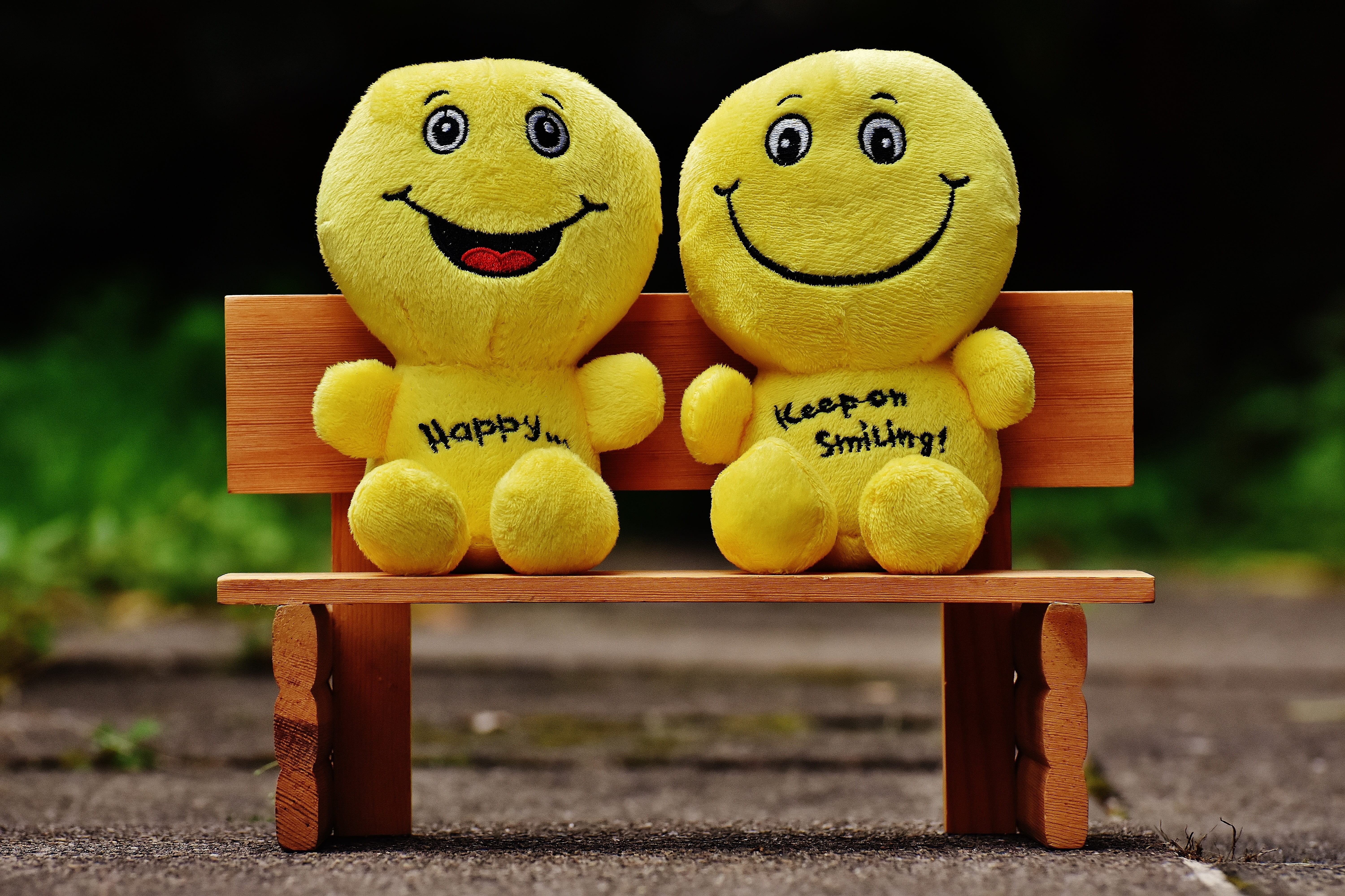 animal representation, two objects, emoticon, stuffed toy, joy, cute, happy, plush, two, laughing face, joy of life, animal, creativity, bench, good mood, HD Wallpaper