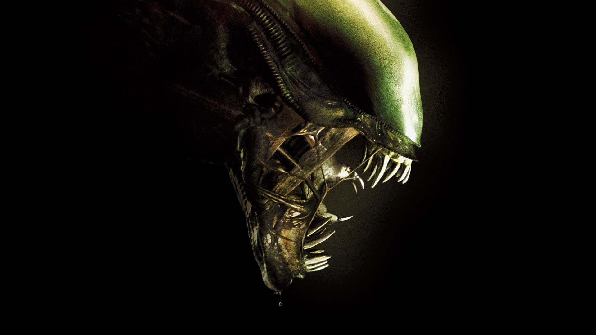 Alien, monster, movie, green, fang, film, ufo, 1080P, head, cinema, HD Wallpaper