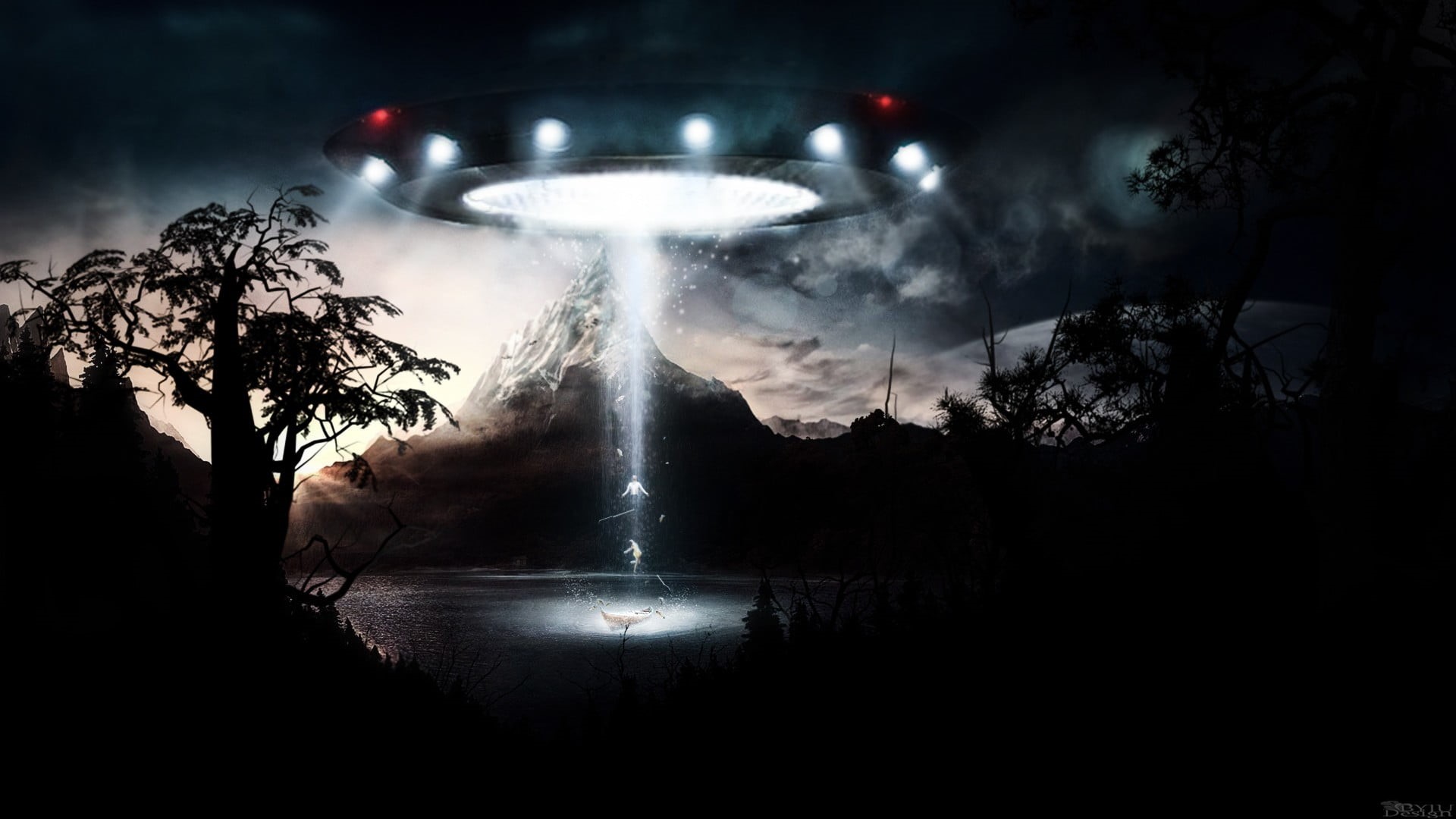 tree, spaceship, UFO, nature, illuminated, adult, motion, holding, one person, unrecognizable person, smoke - physical structure, real people, indoors, HD Wallpaper