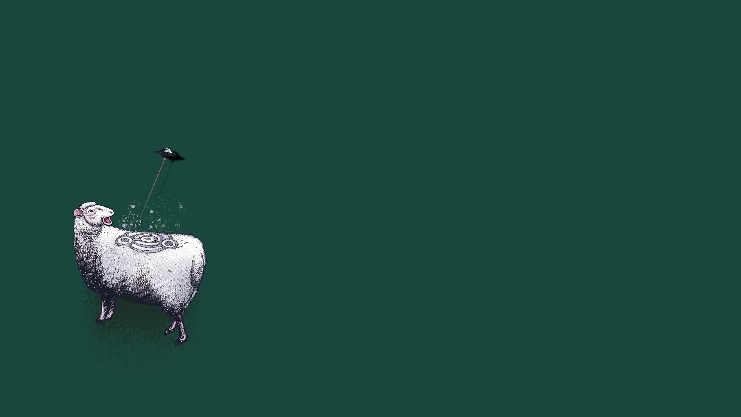 animal wildlife, studio shot, nature, indoors, green color, copy space, white, 2K, perching, no people, livestock, sheep, bird, vertebrate, grey, standing, HD Wallpaper