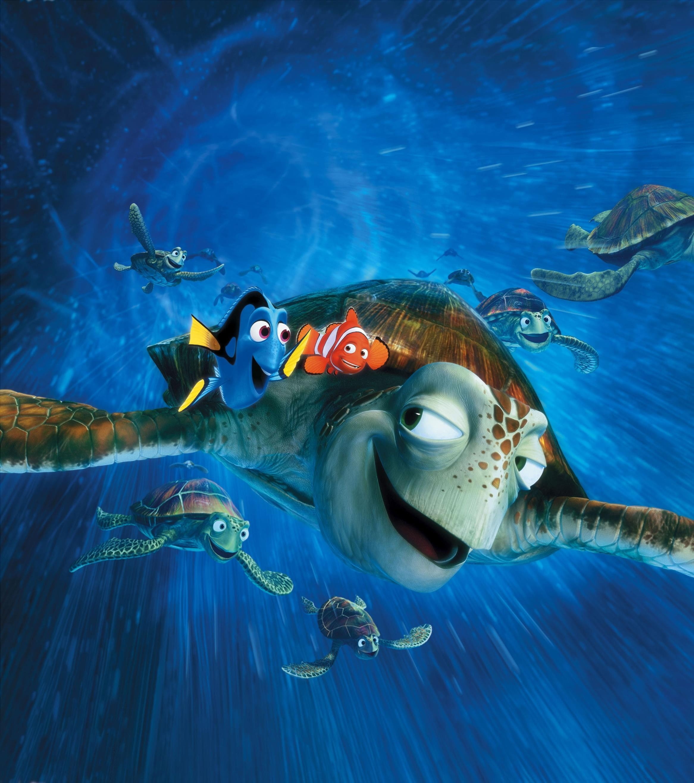 floating on water, animal, water, blue, outdoors, adventure, vertebrate, Finding Nemo, 2K, sea, sea life, fish, Disney, snorkeling, aquatic sport, underwater, Phone HD Wallpaper