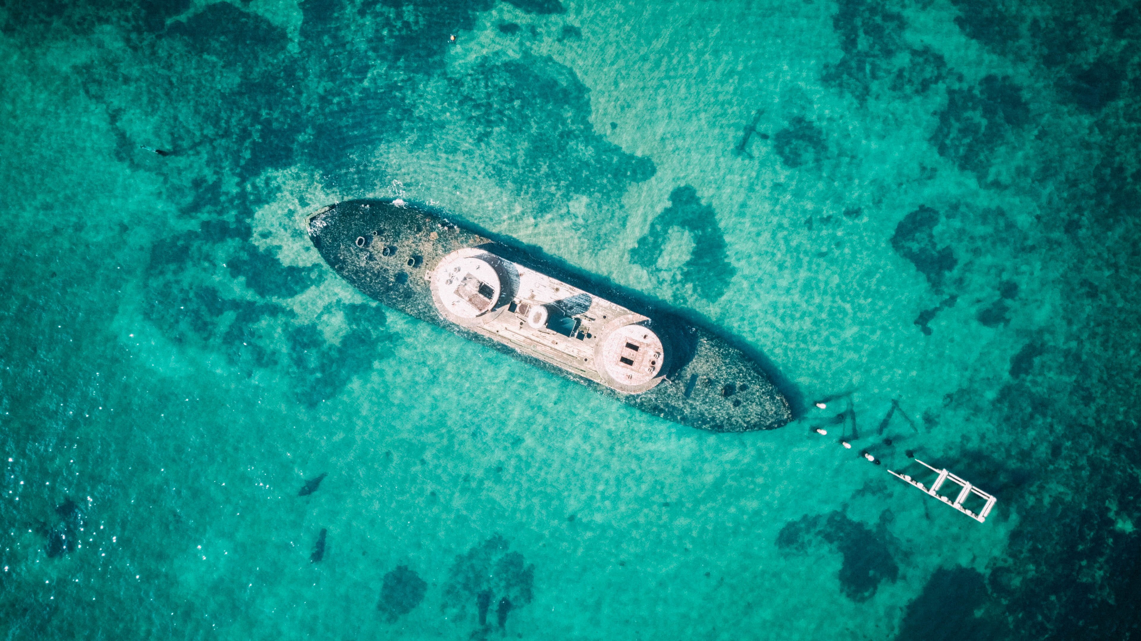 animal wildlife, sea life, tropical climate, boat, aerial view, sport, view, photography, from above, birds eye view, underwater diving, ocean, black, people, HD Wallpaper
