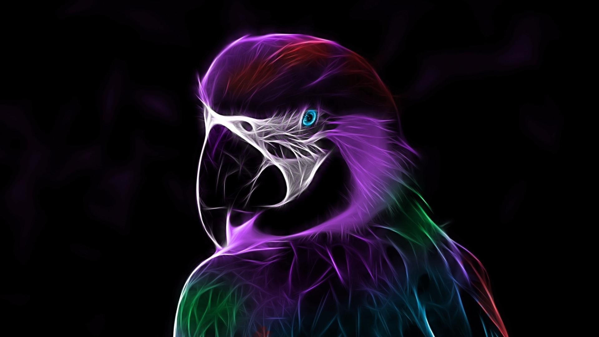 darkness, beak, 1080P, artwork, abstract, neon, light, graphics, digital art, parrot, HD Wallpaper