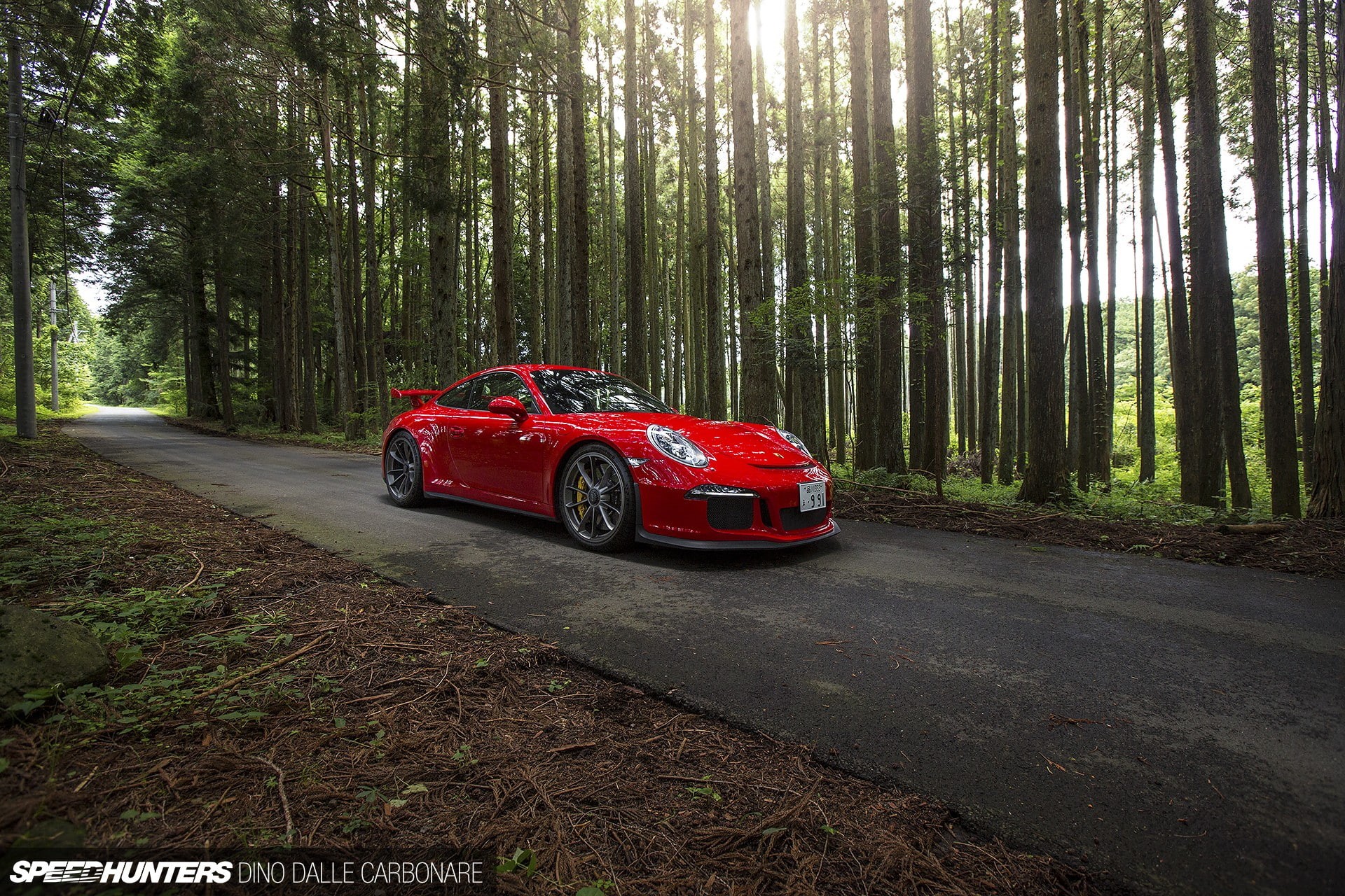 tree, red cars, travel, road, red, motor vehicle, day, land vehicle, no people, 1080P, road trip, Speedhunters, transportation, Porsche 911, Porsche, growth, HD Wallpaper