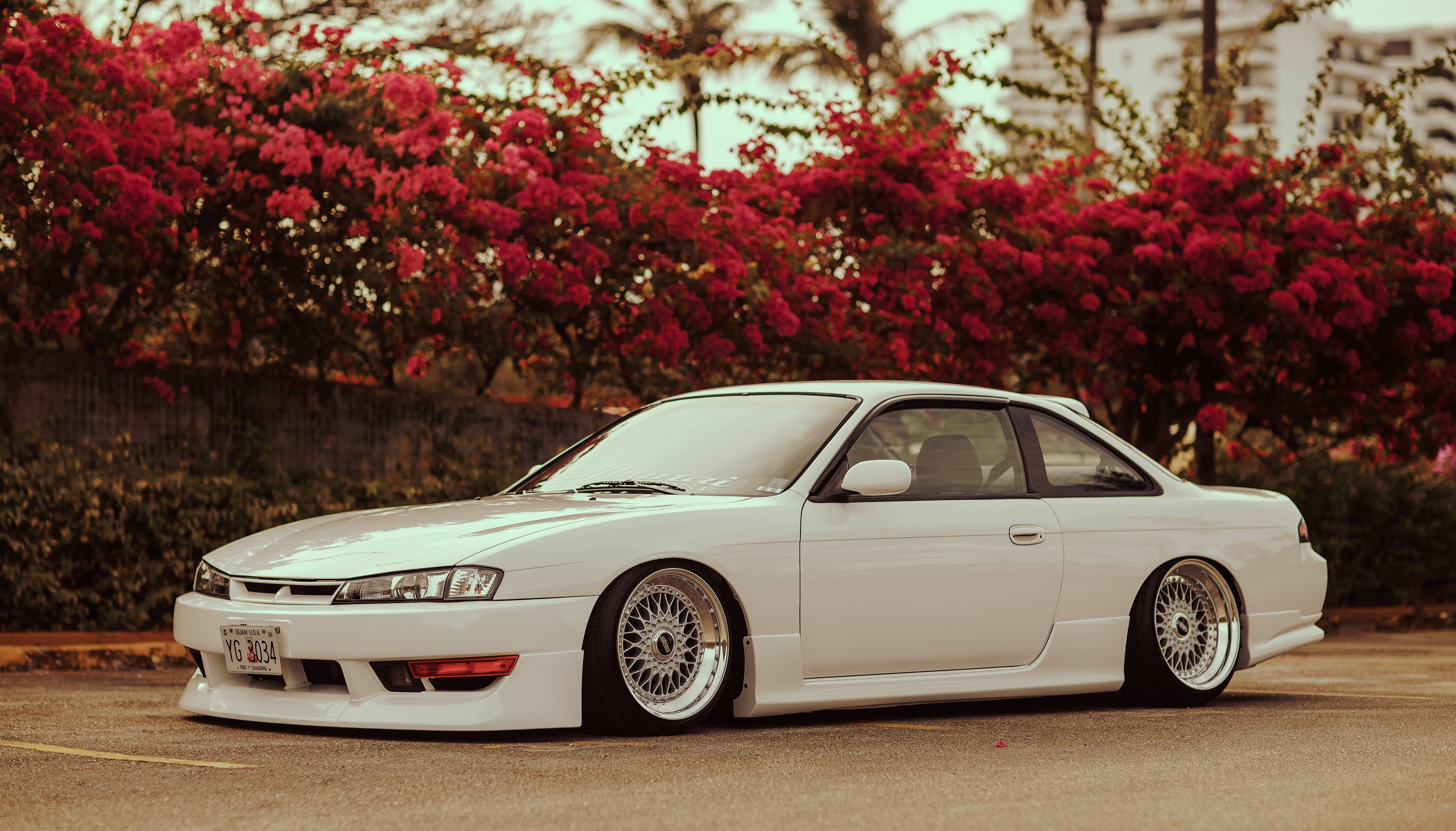 luxury, growth, road, tree, outdoors, nature, Sylvia, flowering plant, city, car, Nissan, motor vehicle, coupe, Silvia, flower, retro styled, stance, no people, HD Wallpaper