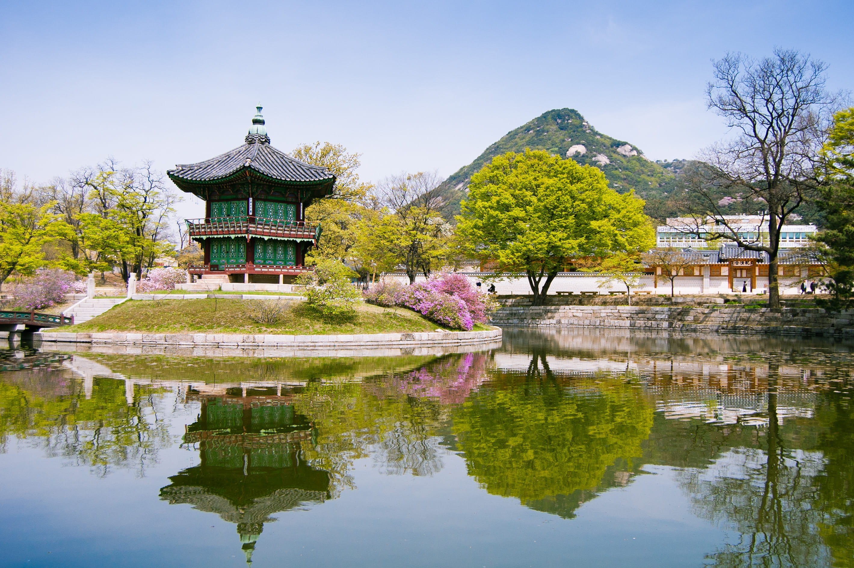 plant, day, south korea, beauty in nature, tree, architecture, water, no people, 2K, lake, waterfront, travel destinations, sky, palace, built structure, HD Wallpaper