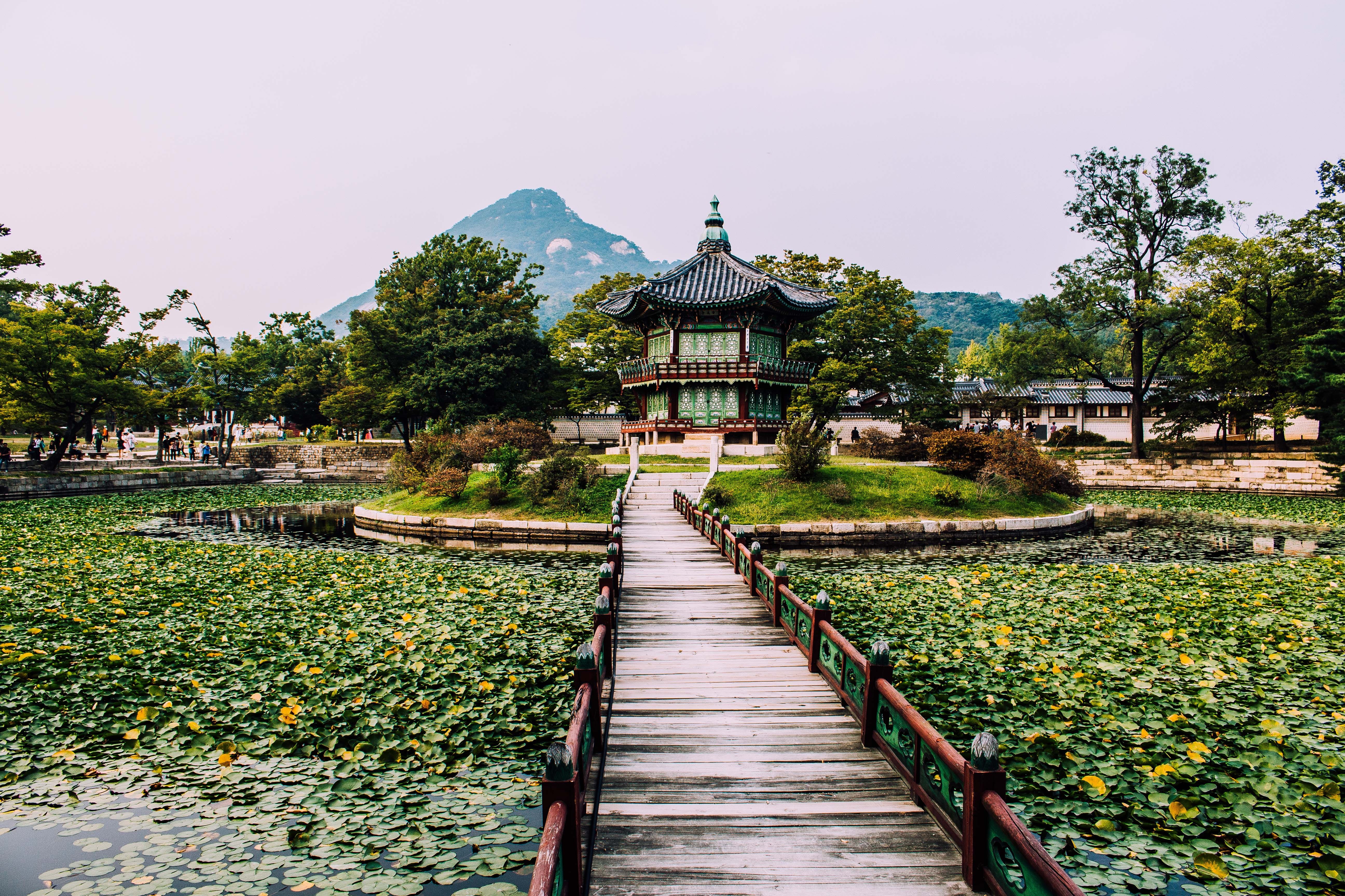 gyeongbokgung palace, built structure, day, religion, footpath, building exterior, no people, place of worship, spirituality, pavillon, green color, temple, HD Wallpaper