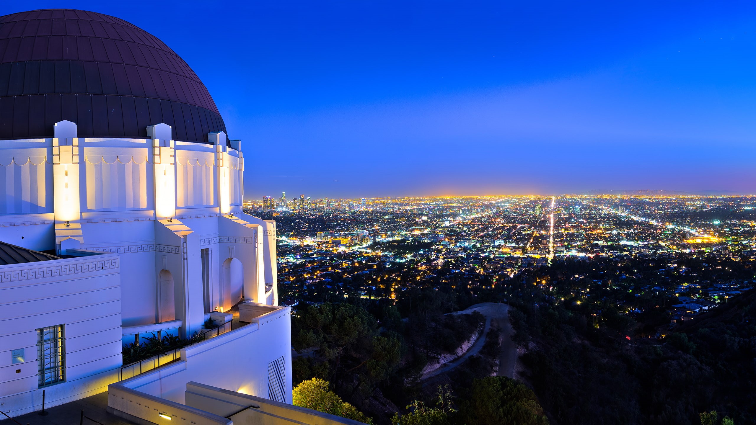 lights, buildings, skyline, los, city, 2K, skyscrapers, observatory, angeles, cityscape, hd, night, HD Wallpaper