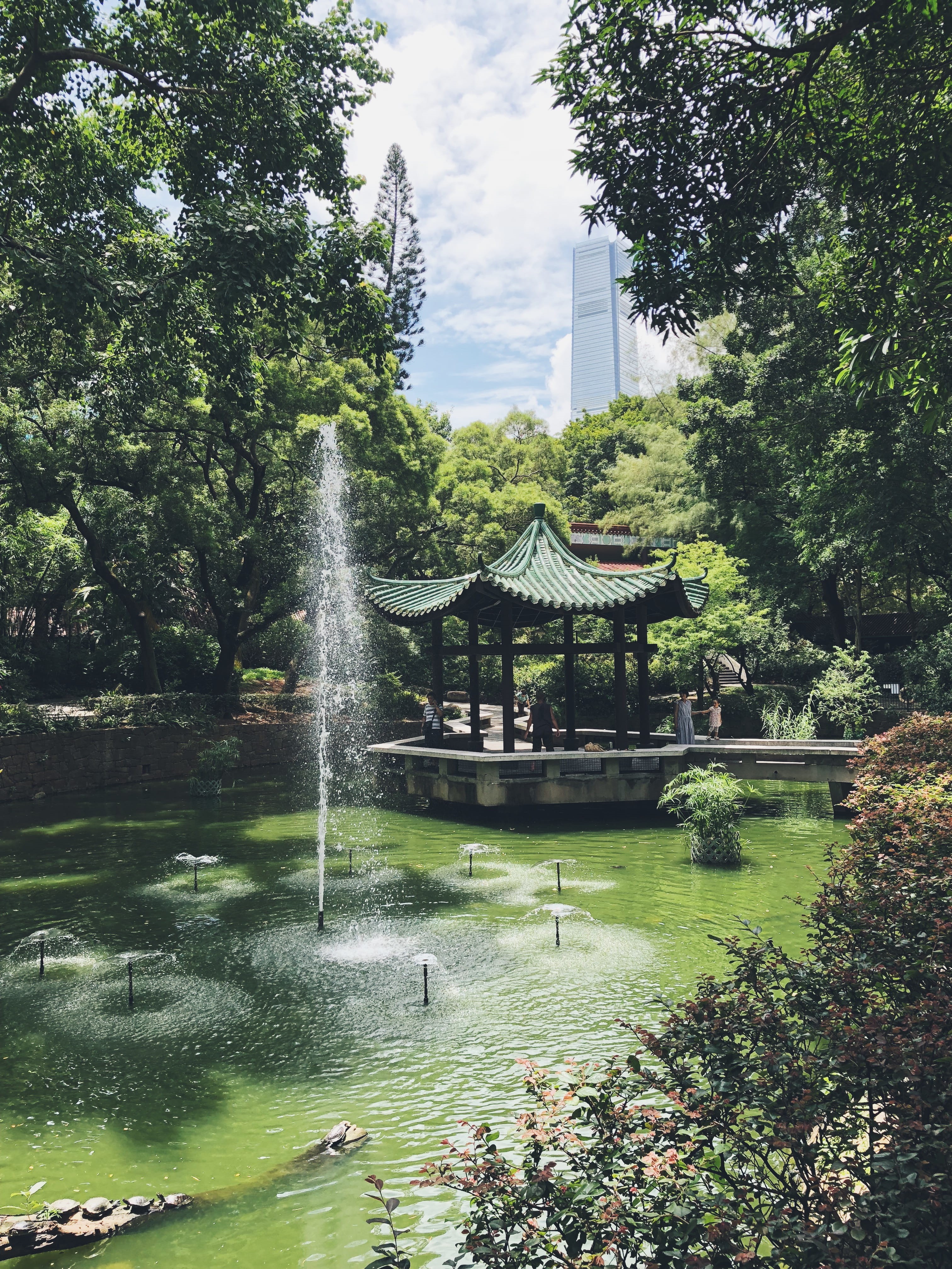 relaxing, leafed, motion, temple, animal, hong kong, built structure, day, sky, lake, waterfall, arbour, green, nature, park, human, fountain, water, plant, Phone HD Wallpaper