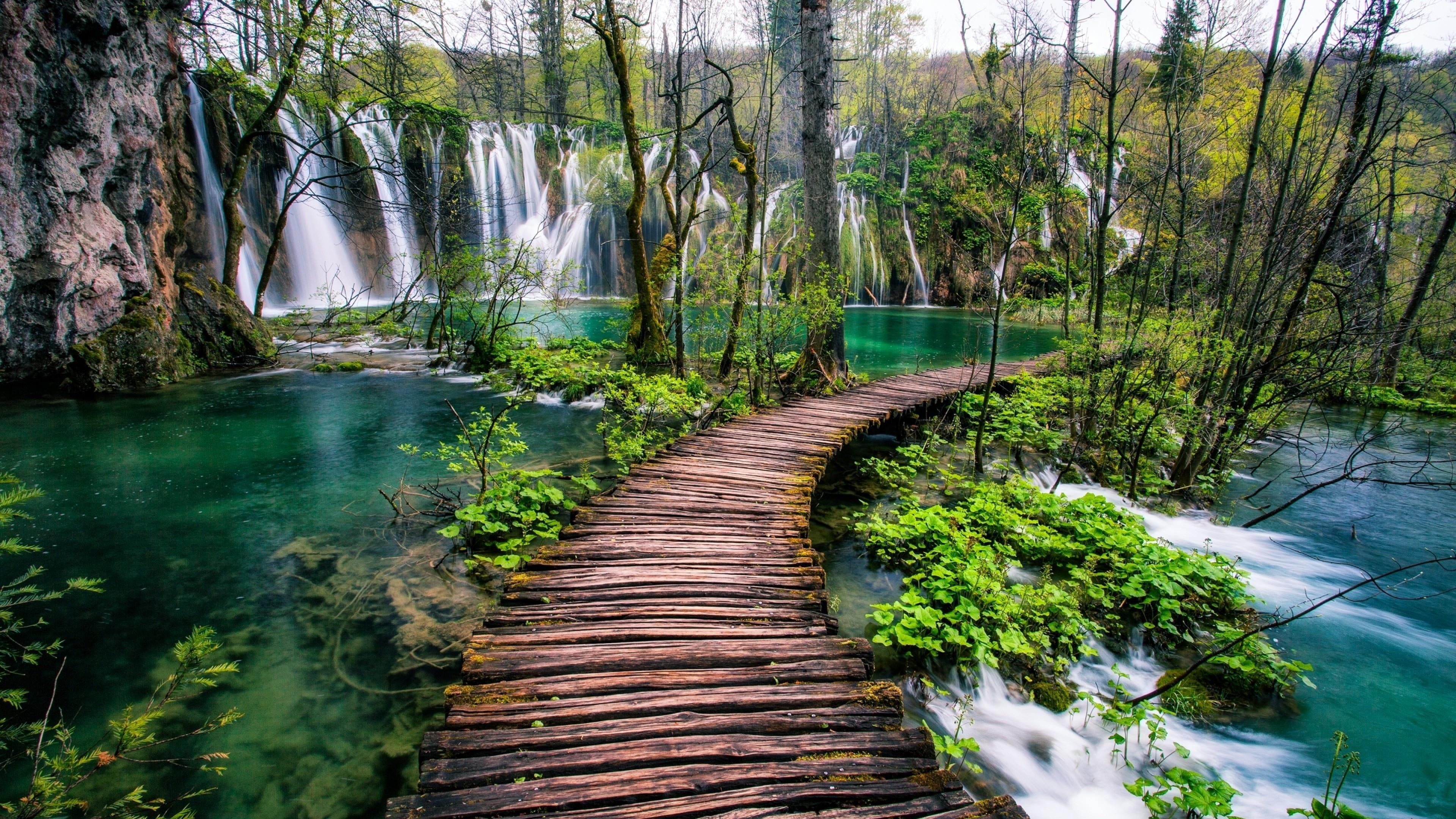 national, desktop, water, green color, growth, sq, tranquility, scenics - nature, river, flowing water, day, outdoors, waterfalls, plant, plitvice, waterfall, HD Wallpaper