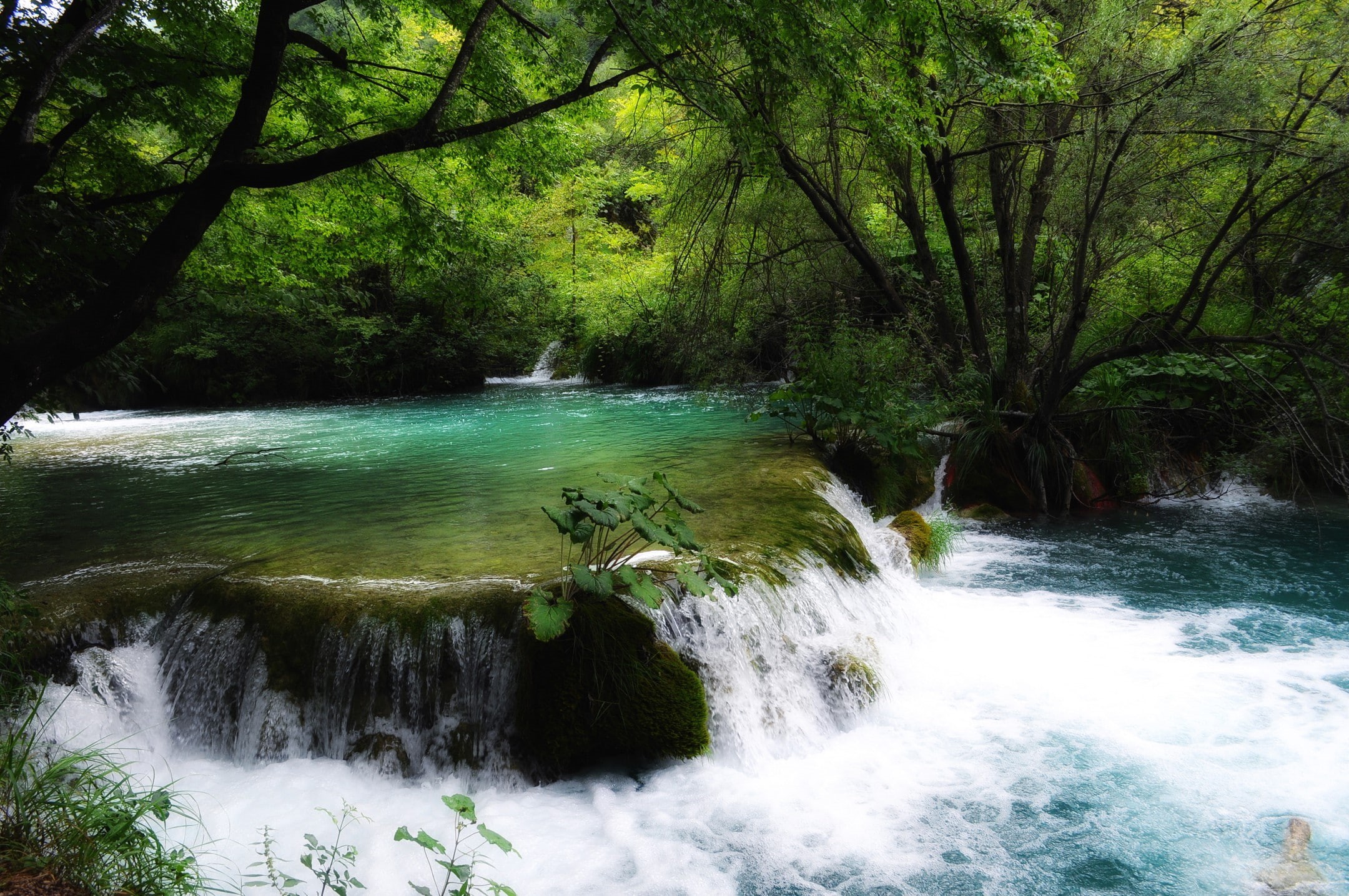 1080P, nature, Plitvice National Park, river, waterfall, water, Croatia, HD Wallpaper