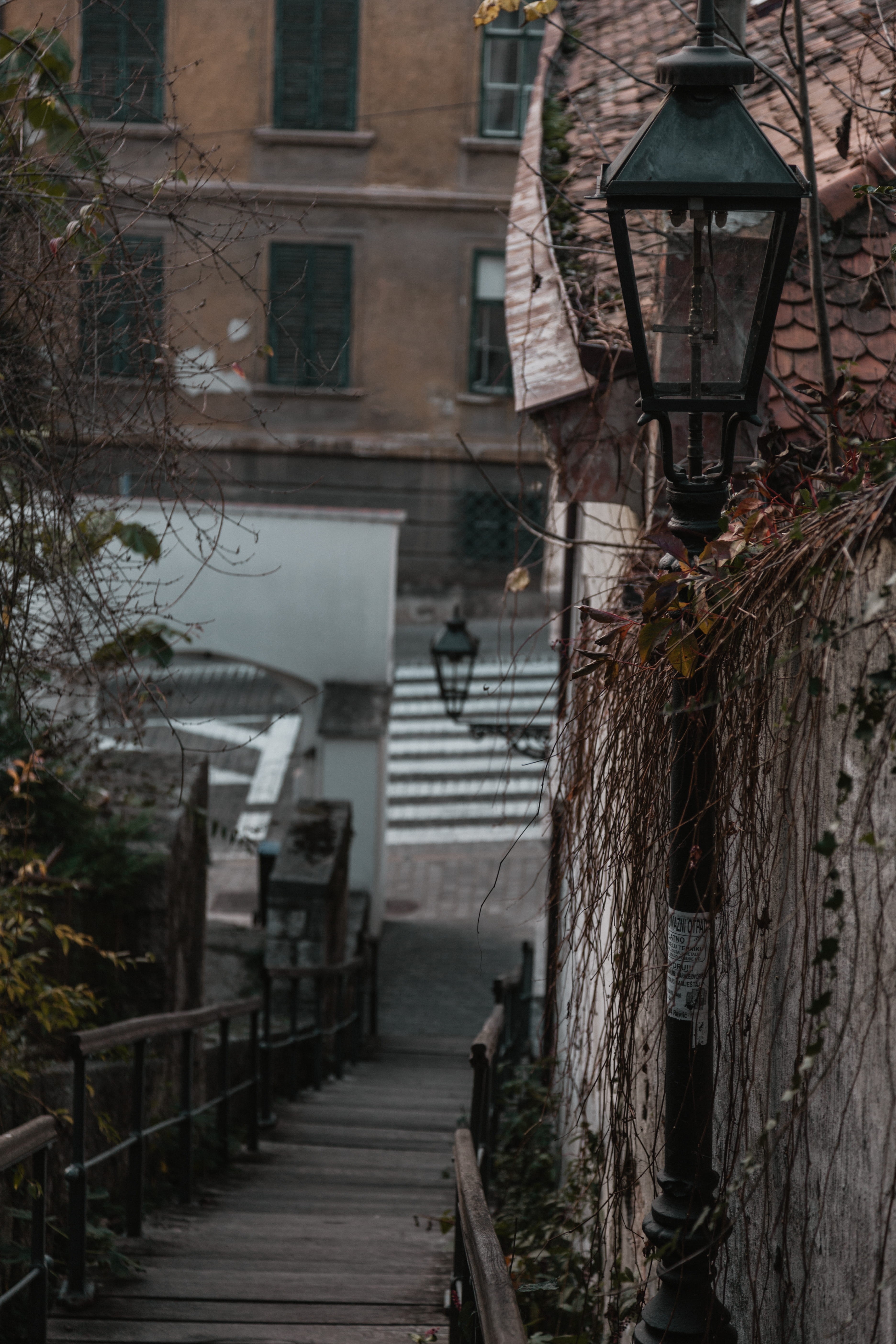 urban photography, moody, tree, building exterior, no people, street, building, croatia, lighting equipment, footpath, architecture, street photography, Phone HD Wallpaper