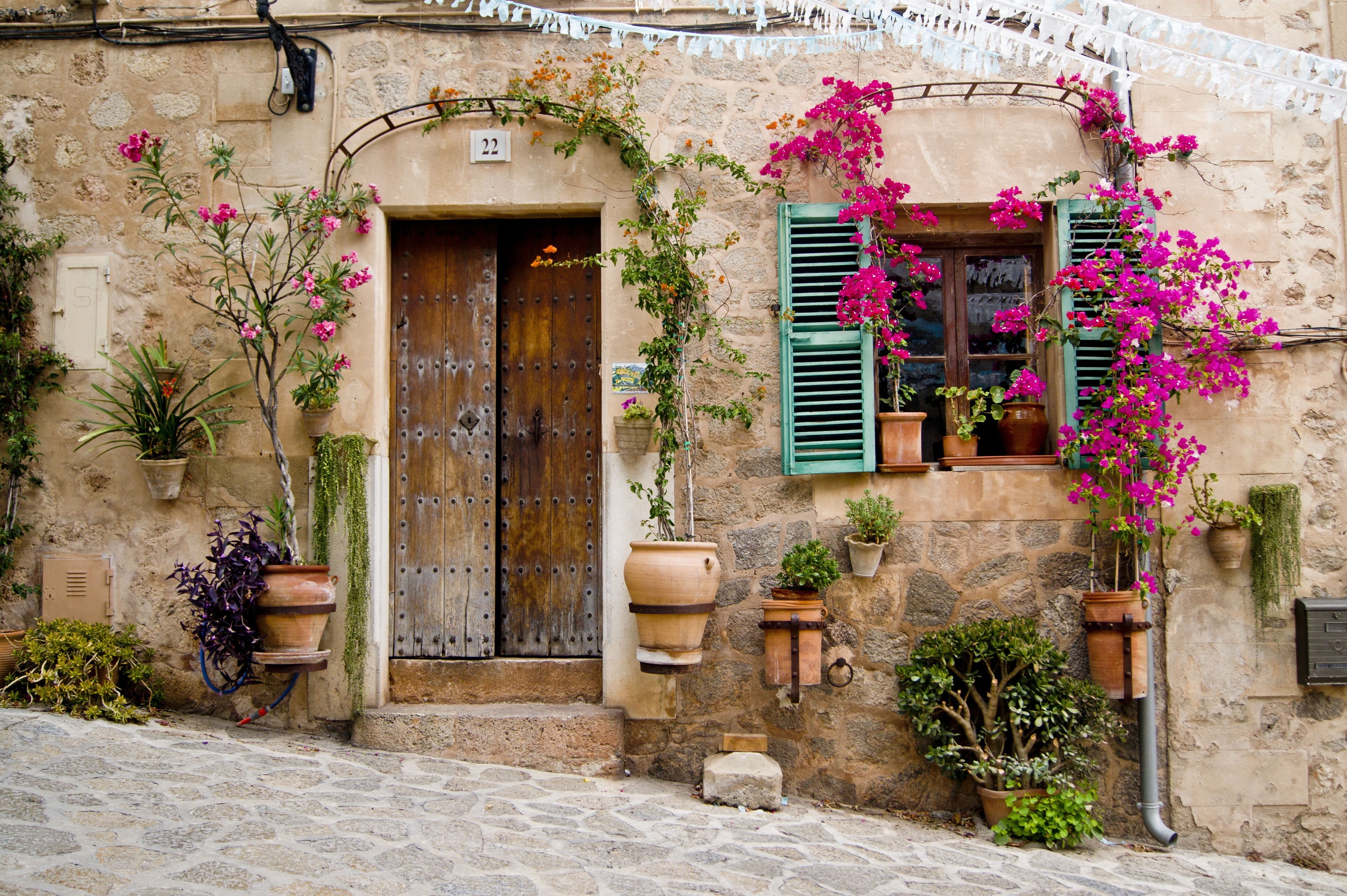 building, built structure, staircase, flowerpot, architecture, building exterior, window, outdoors, nature, bougainvillea, flower pot, no people, flowers, HD Wallpaper