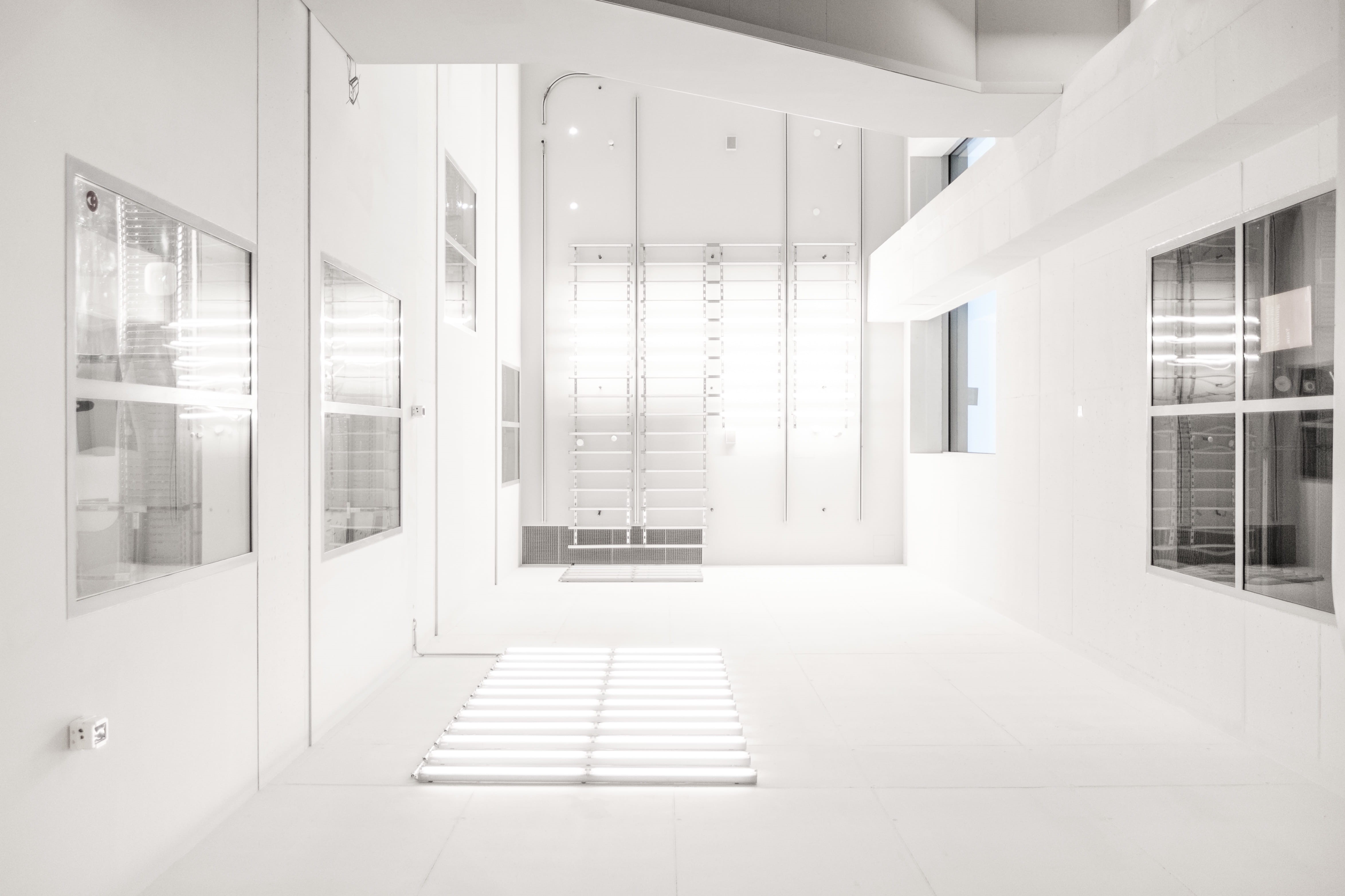 entrance, door, window, flooring, 4K, luxury, indoors, modern, clean, building, home Interior, near, corridor, architecture, white, entrance Hall, sunlight, HD Wallpaper