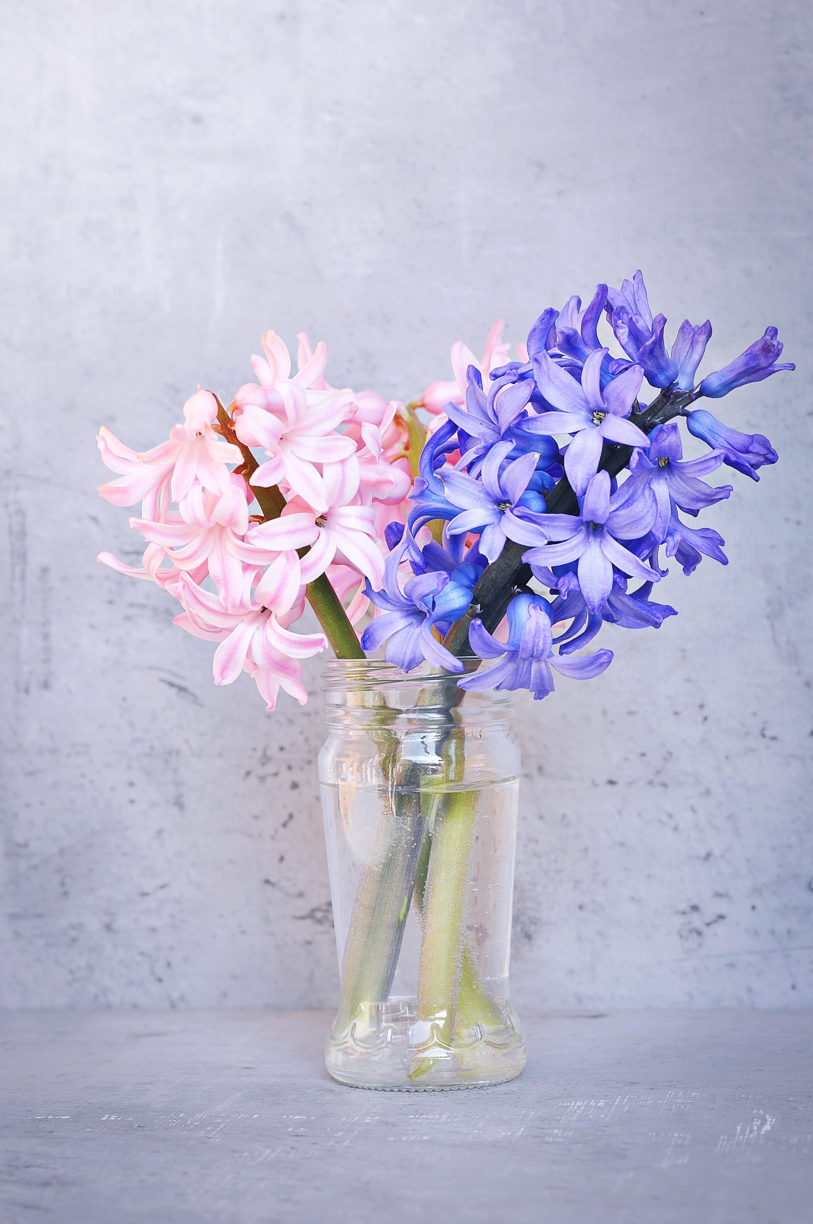 vase, petal, outdoors, schnittblume, glass - material, flowering plant, purple, bunch of flowers, close, blue flowers, vulnerability, flowers, glass, pitcher - jug, Phone HD Wallpaper