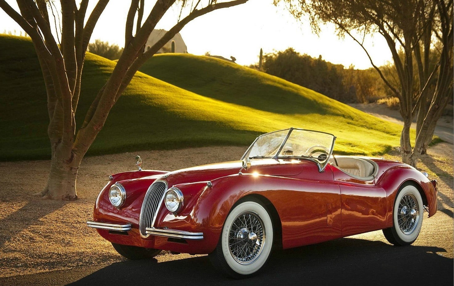 retro styled, coupe, outdoors, XK120, tree, road, day, vintage car, luxury, classic, sunlight, plant, old car, land vehicle, convertible, red, stationary, HD Wallpaper