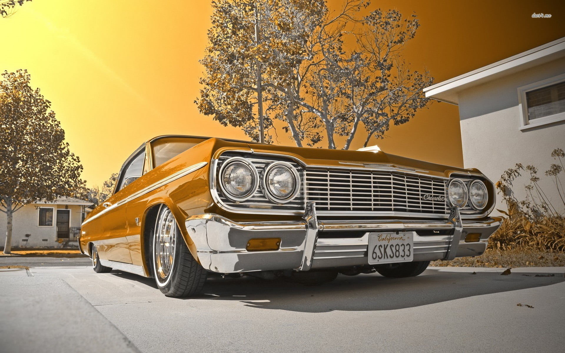 building exterior, land vehicle, headlight, vintage, no people, orange color, luxury, plant, lowrider, brown, motor vehicle, architecture, vintage car, HD Wallpaper