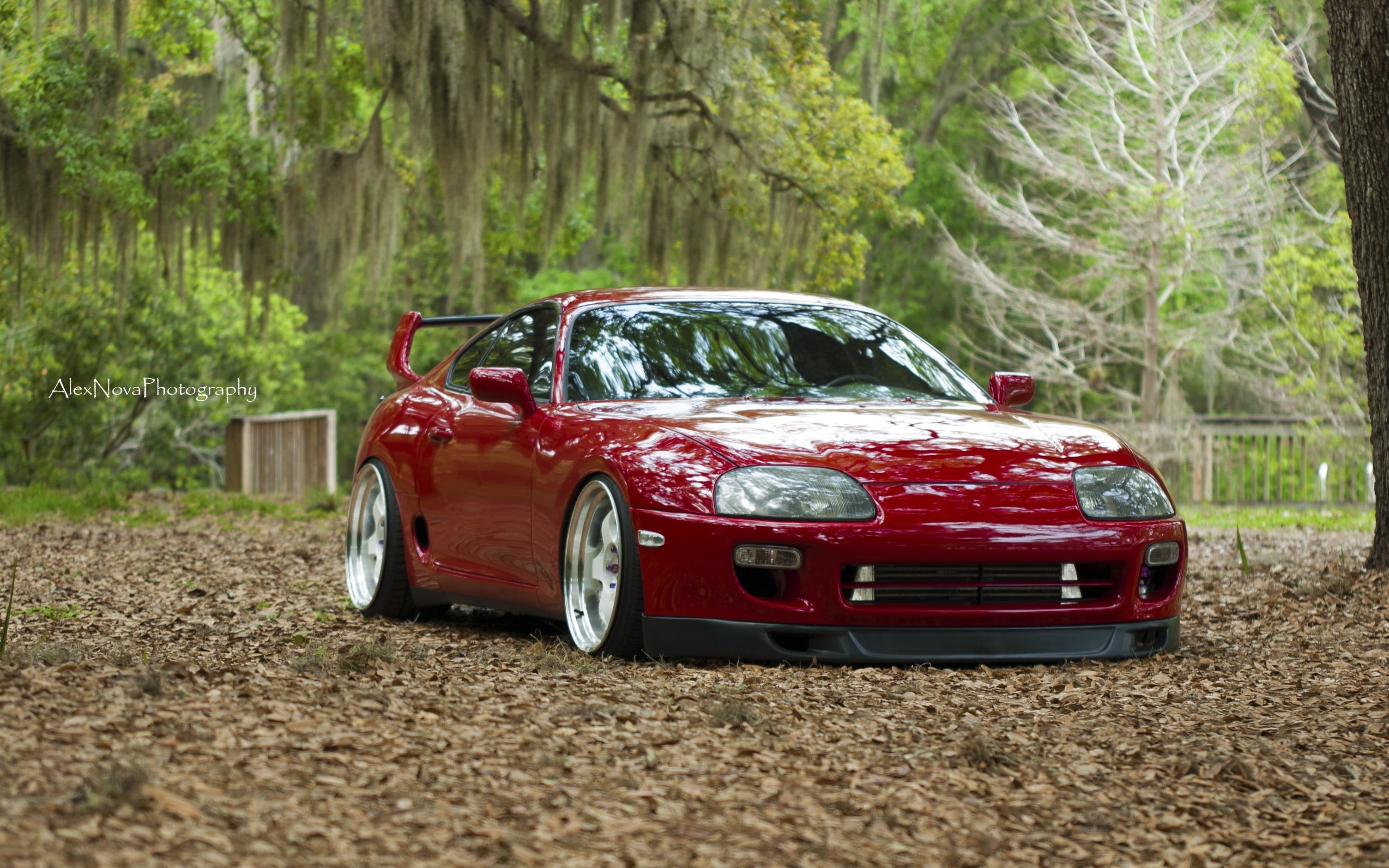 plant, land, car, focus on foreground, coupe, Supra, red, stationary, road, motor vehicle, mode of transportation, transportation, nature, forest, Mk4, HD Wallpaper