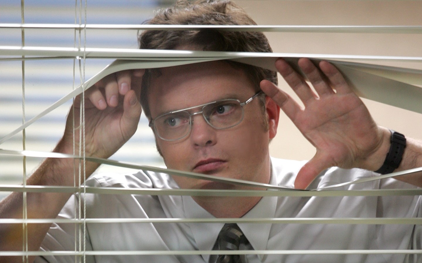 tv, tv series, office, The Office, series, art, dwight schrute, dwight, hd, wilson, schrute, rainn, rainn wilson, 720P, entertainment, HD Wallpaper