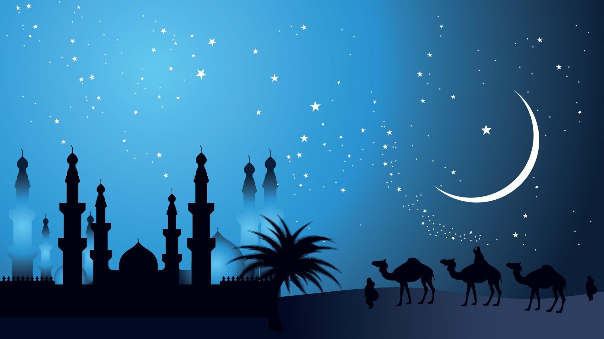 star, blue, space, animal themes, group of animals, graphics, plant, mosque, midnight, architecture, building exterior, nature, animal, moon, dusk, outdoors, HD Wallpaper