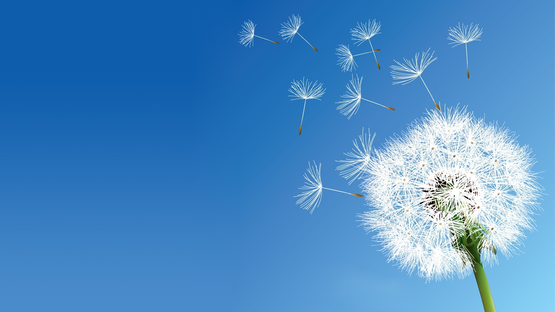 flower head, no people, dandelion, vulnerability, celebration, blue, beauty in nature, snowflake, flowers, outdoors, copy space, nature, colored background, HD Wallpaper