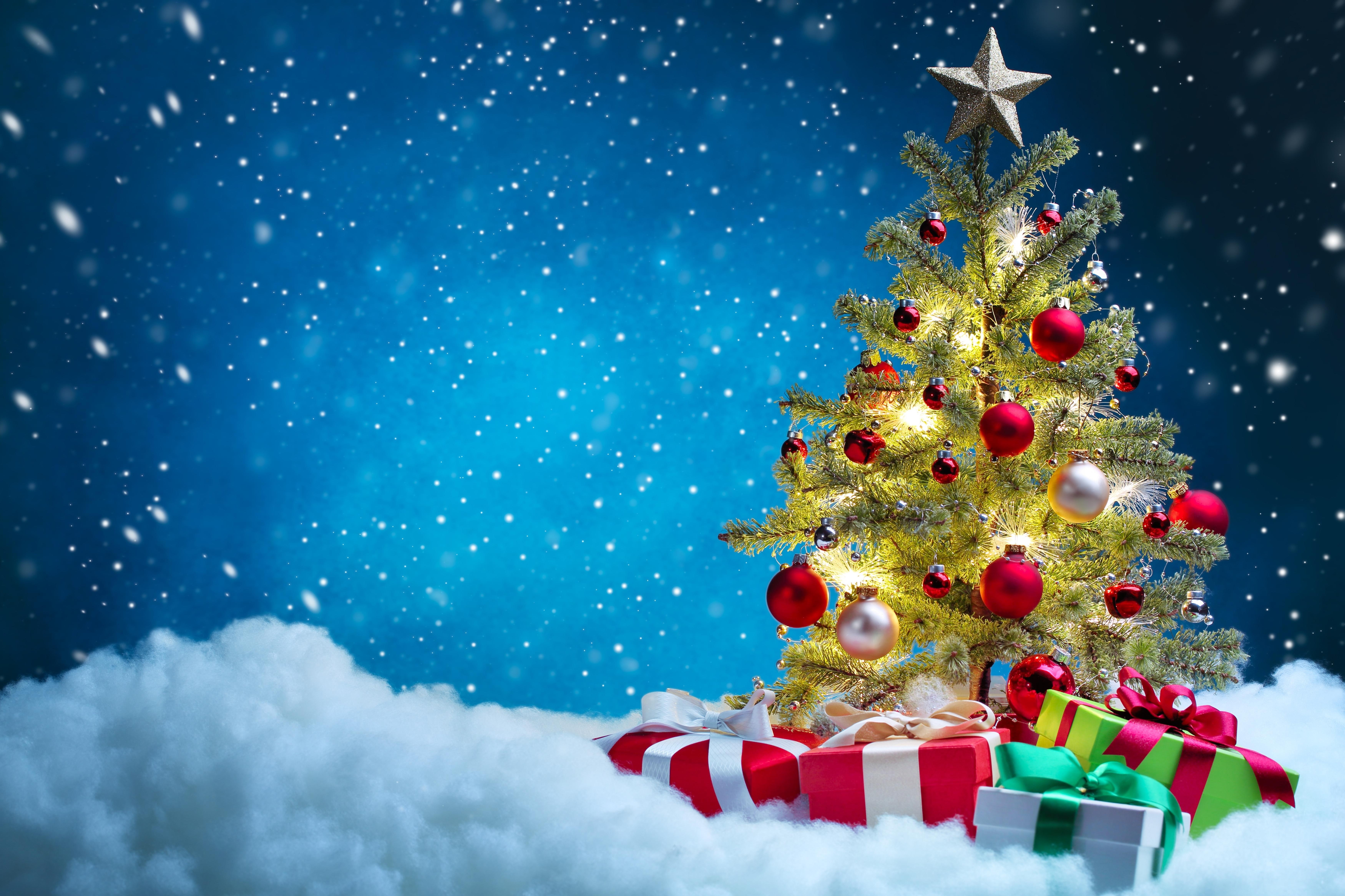 gifts, tree, holidays, snow, christmas tree, miscellaneous, christmas, 5K, HD Wallpaper