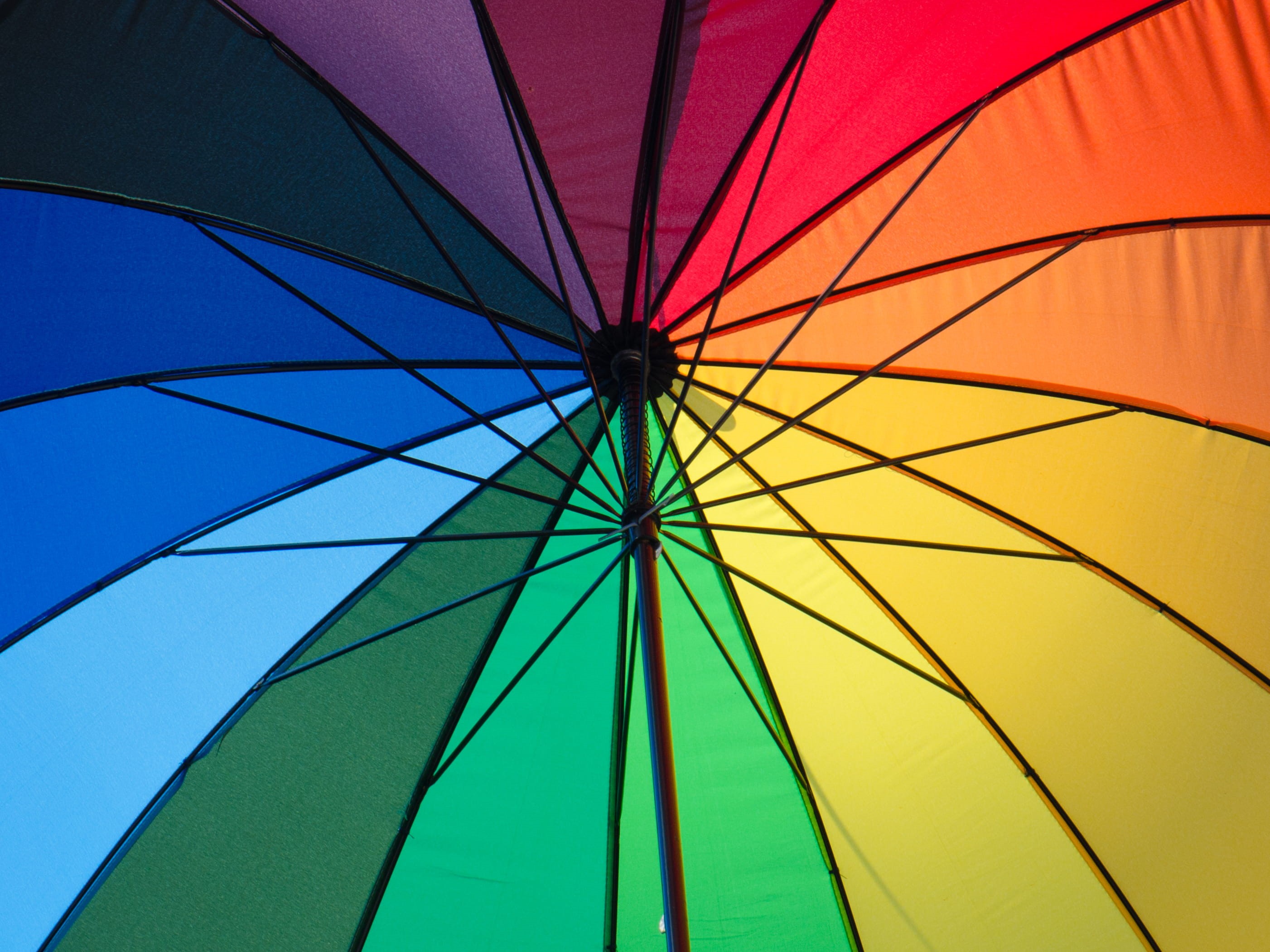 dark green, blue, green, low angle view, pattern, undercover, yellow, 2K, minimal, nature, worms, orange, multicolored, multi colored, umbrella, air vehicle, HD Wallpaper