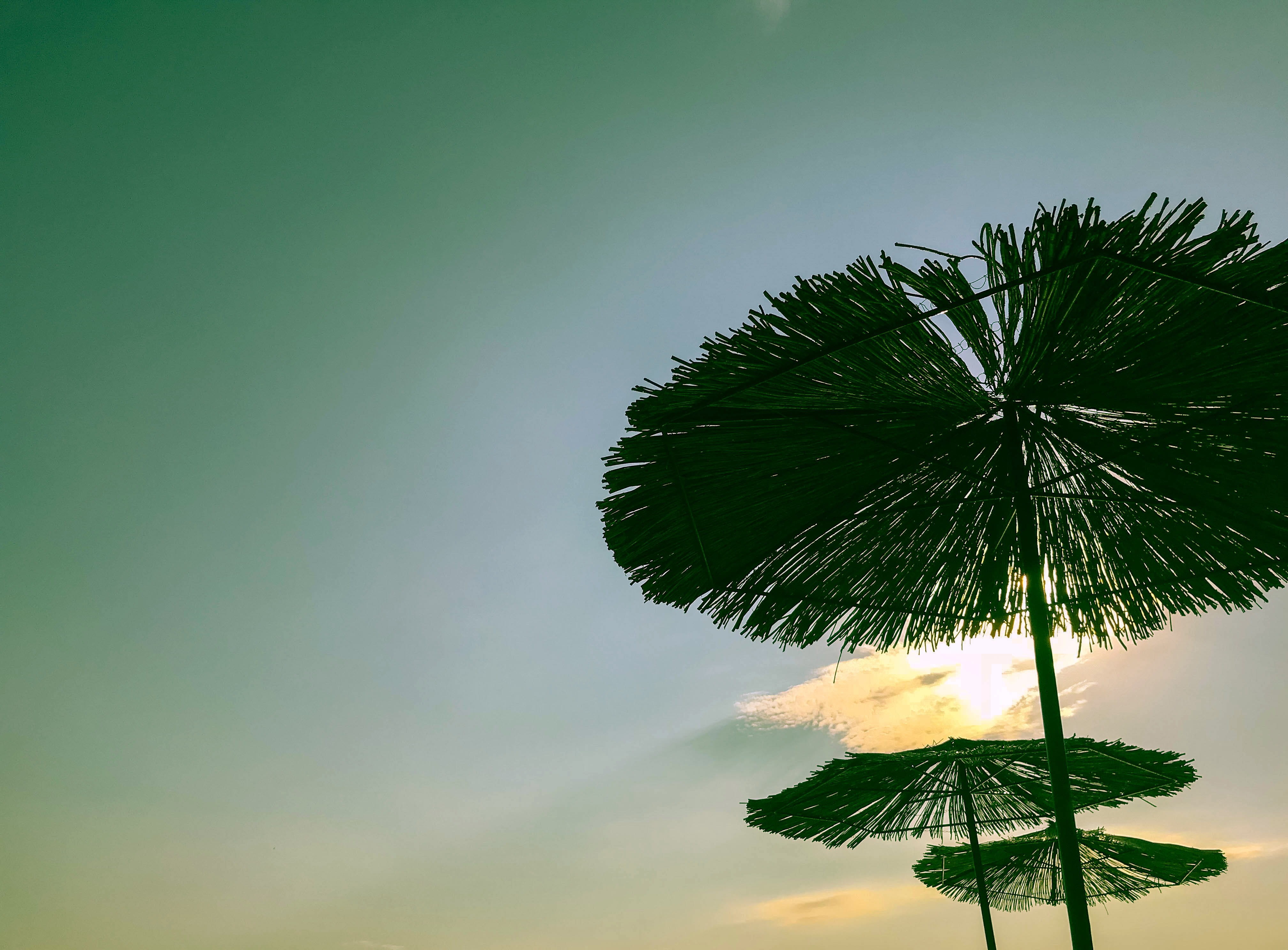cloud, unbrella, outdoors, tropical climate, sea, tropical tree, no people, umbrella, copy space, summer, leaf, vacation, palm tree, nature, sky, sunset, HD Wallpaper