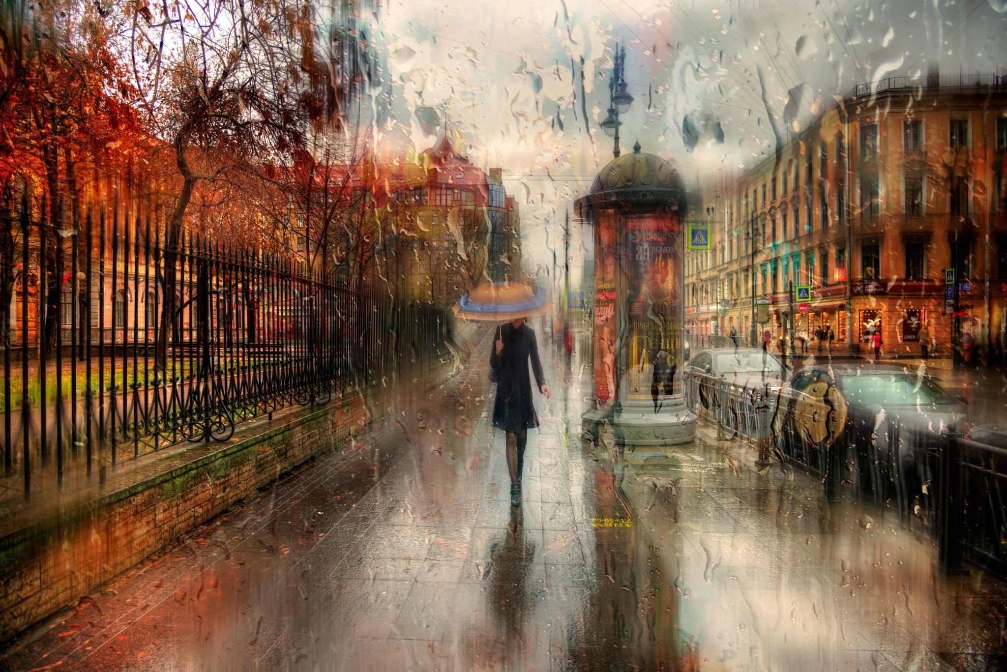 day, reflection, autumn, St. Petersburg, outdoors, transparent, umbrella, Russia, holding, wet, walking, motion, road, real people, person, nature, tree, HD Wallpaper