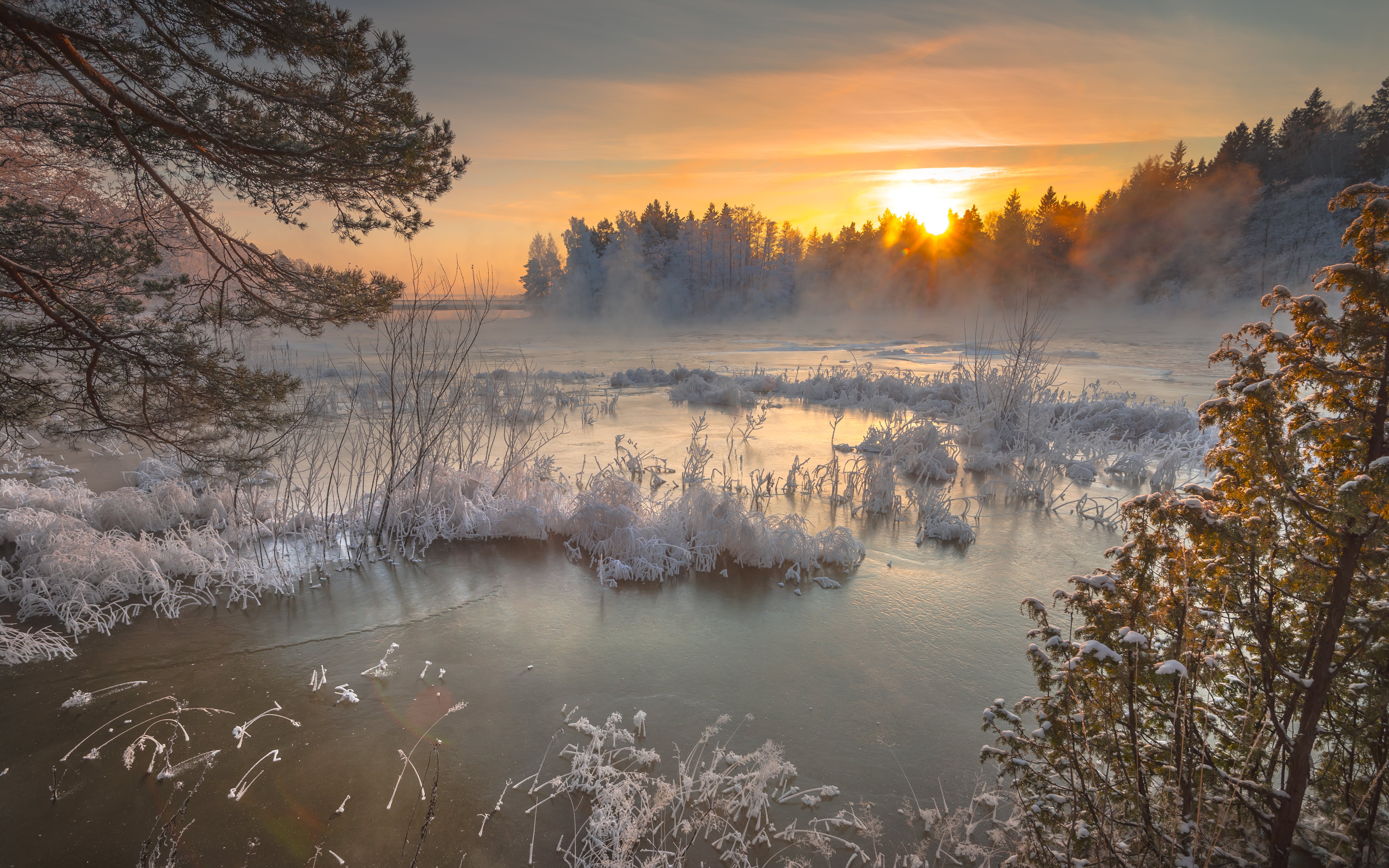 winter, cold - Temperature, winter time, nikkor, nature, kotka, landscape, langinkoski, beauty In Nature, time, outdoors, forest, scenics, snow, frost, HD Wallpaper