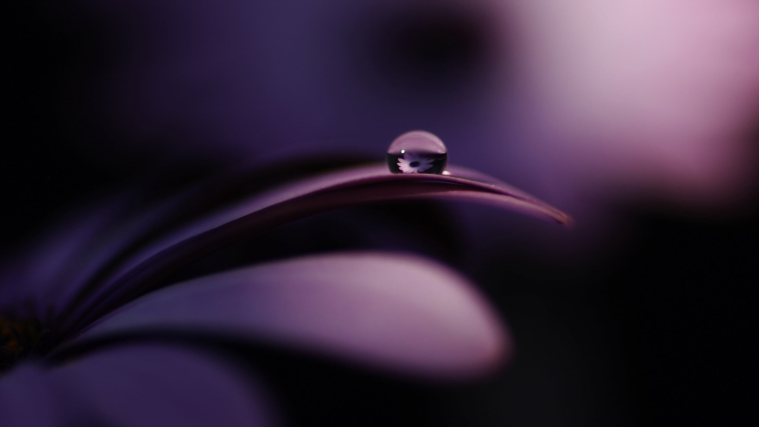 no people, single object, softness, bubble, diamond - gemstone, celebration, reflection, silver colored, dew, bright, motion, jewelry, purity, abstract, HD Wallpaper