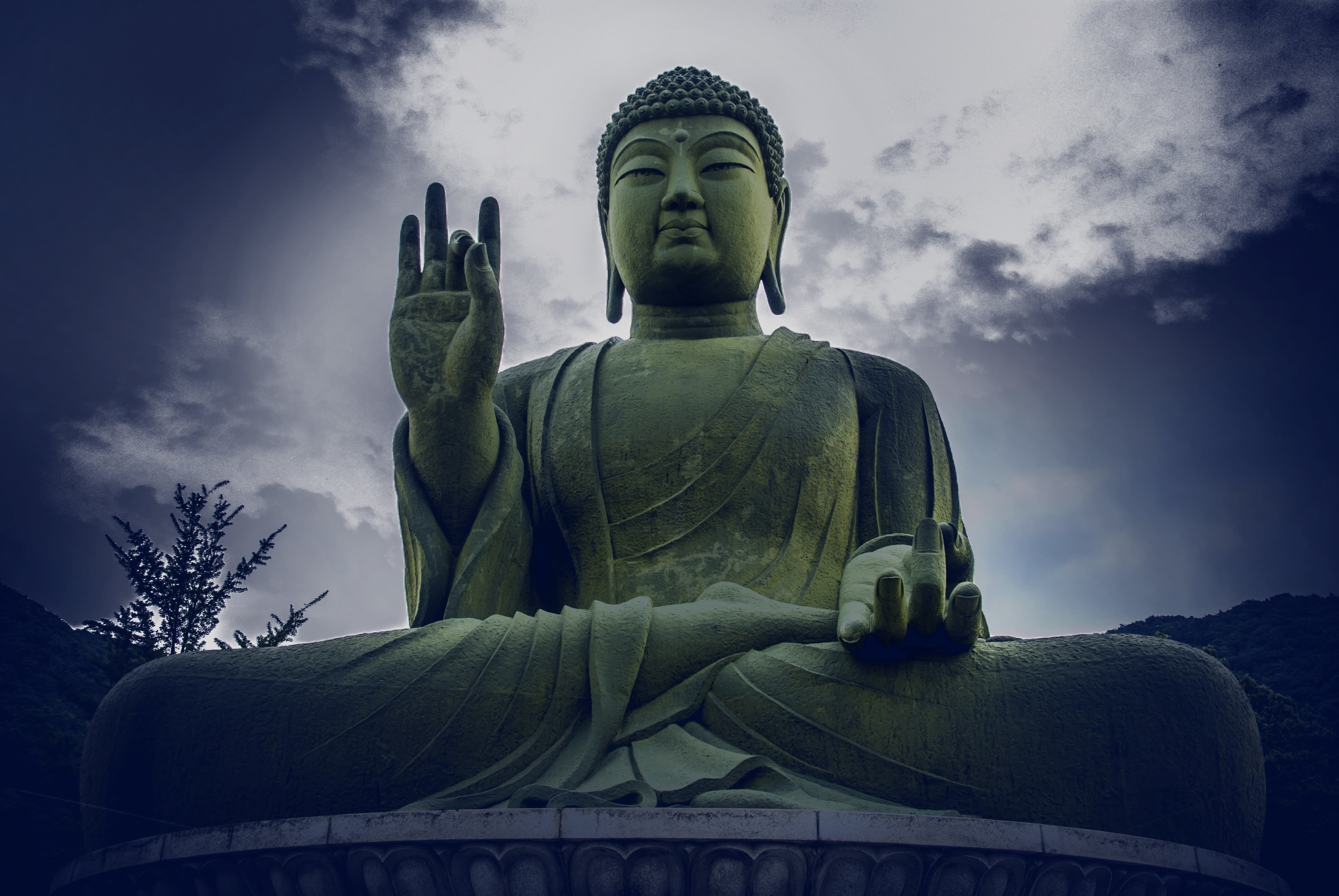4K, tree, sculpture, architecture, belief, idol, low angle view, art and craft, human representation, spirituality, representation, amitabha buddha, male likeness, HD Wallpaper