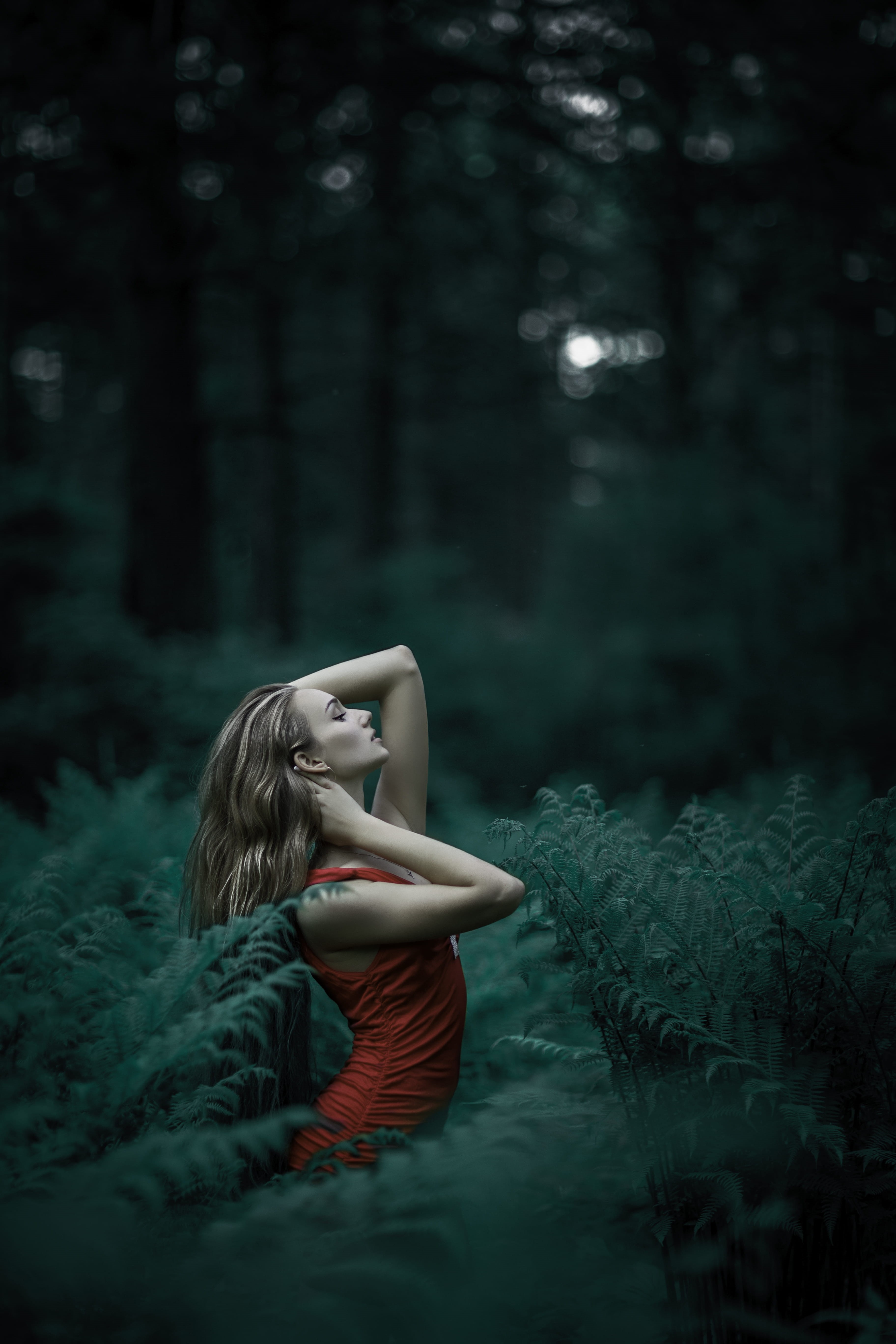 posing, hairstyle, photoshoot, young adult, outdoors, young women, model, woman, woodland, fashion, fern leaves, long hair, fern, red dress, red, adult, Phone HD Wallpaper