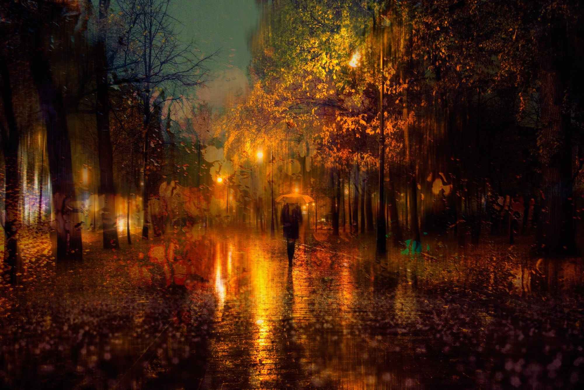 tree, plant, lights, umbrella, person, nature, outdoors, walking, autumn, monsoon, illuminated, street, 1080P, wet, forest, city, Saint Petersburg, water, HD Wallpaper