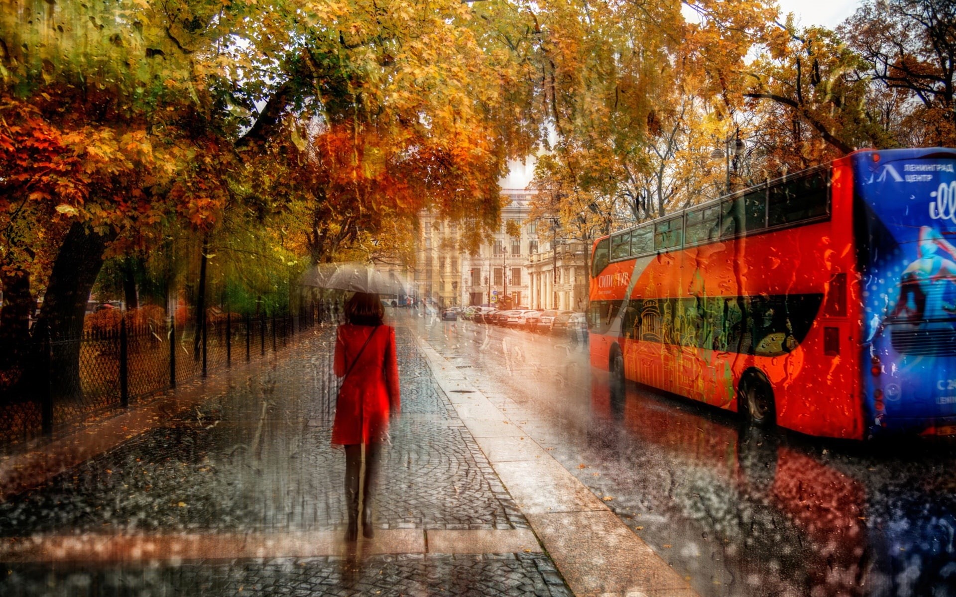 Creative, Petersburg, Pictures, 1080P, Girl, st, Road, Autumn, Rain, Cars, HD Wallpaper