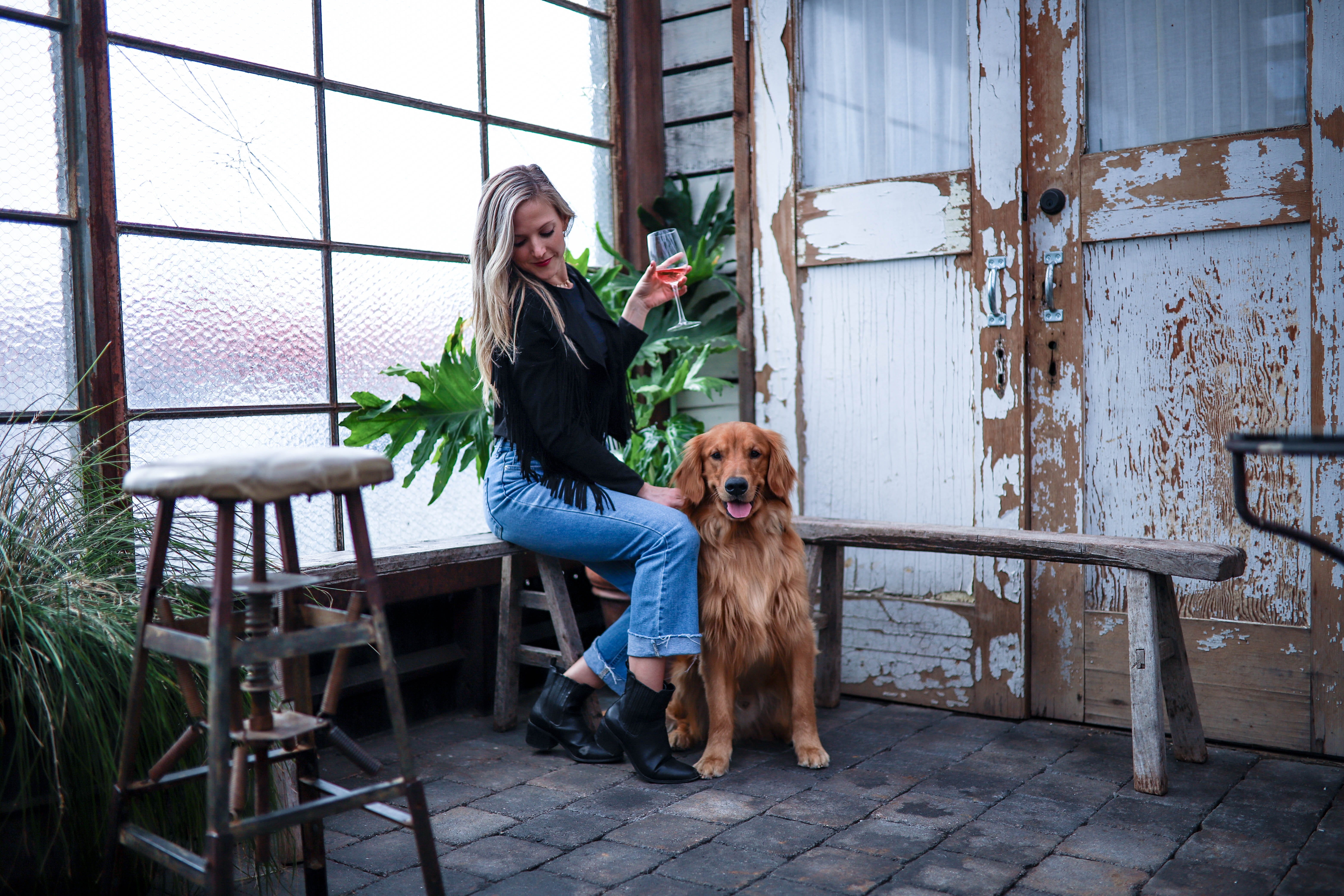 adult, golden, woman, canine, mammal, alcohol, one animal, young, teenager, person, portrait, pet owner, retriever, chair, real people, pets, blonde, indoor, HD Wallpaper