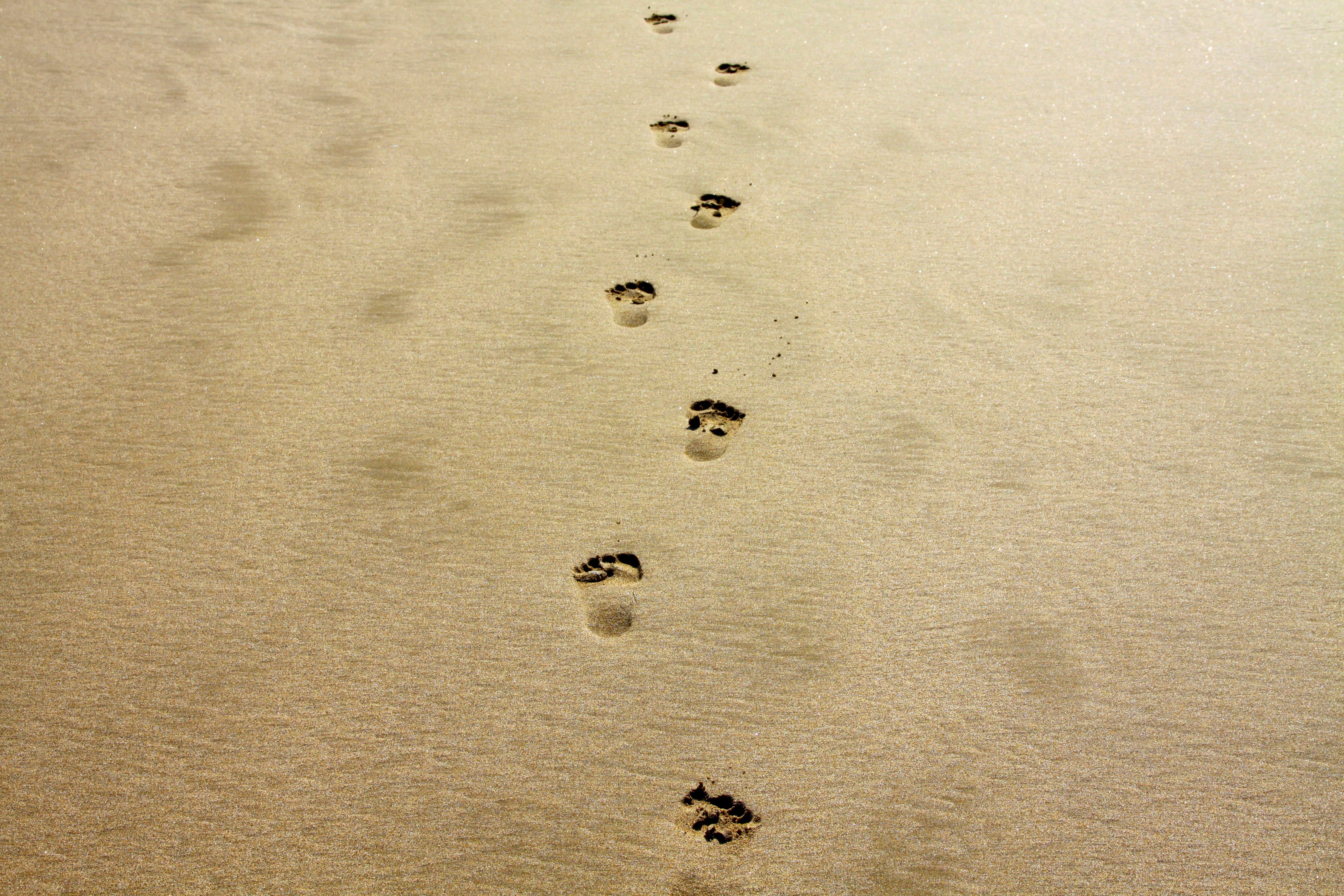 foot, contemplation, tranquil, beach sand, print, travel, nature background, sand, background pattern, mental health, environment, lights background, full frame, HD Wallpaper
