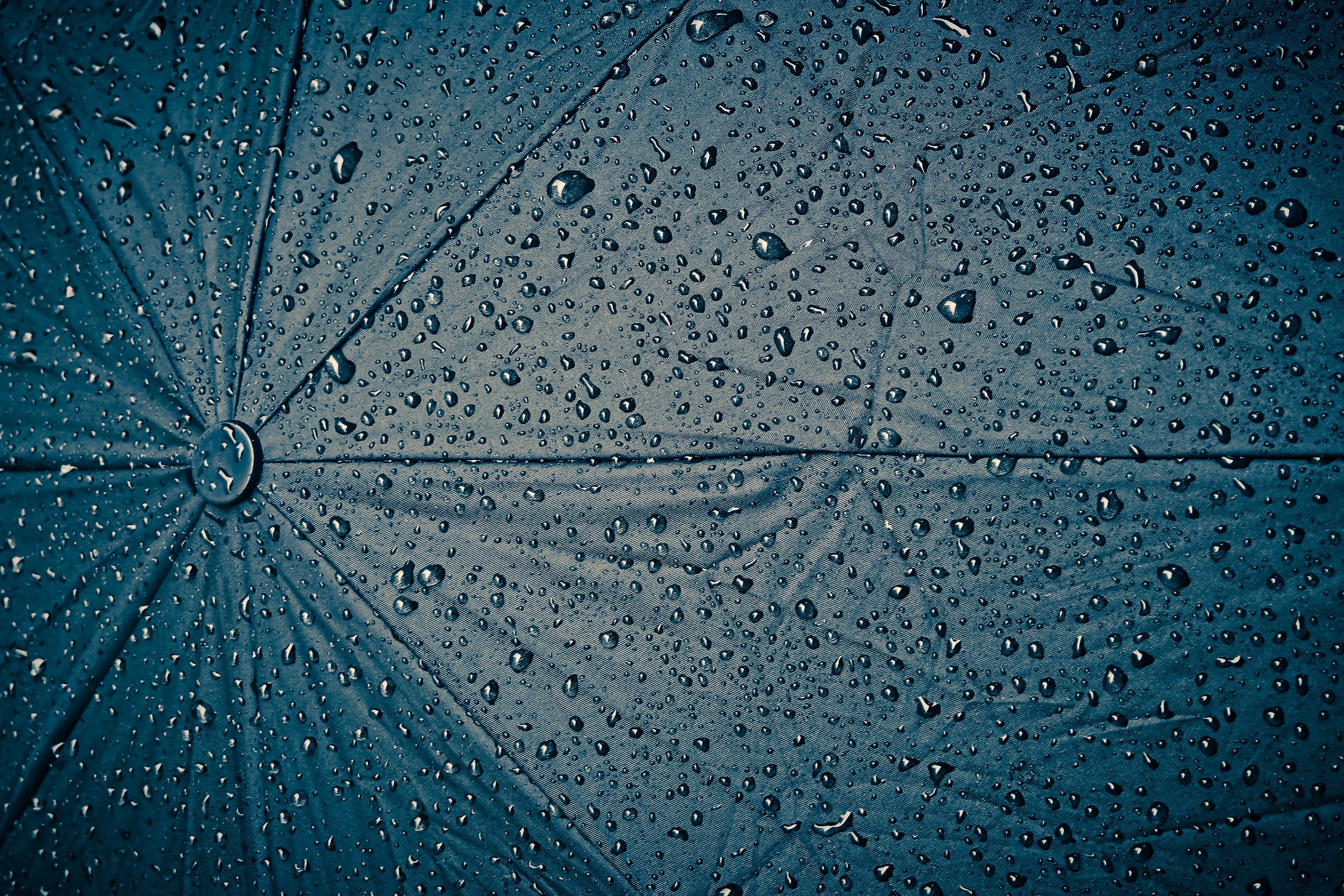 dews, pattern, nature, weather, purity, umbrella, drop of water, dew, texture, blue, outdoors, rainy season, textured, background, rainy day, abstract, HD Wallpaper