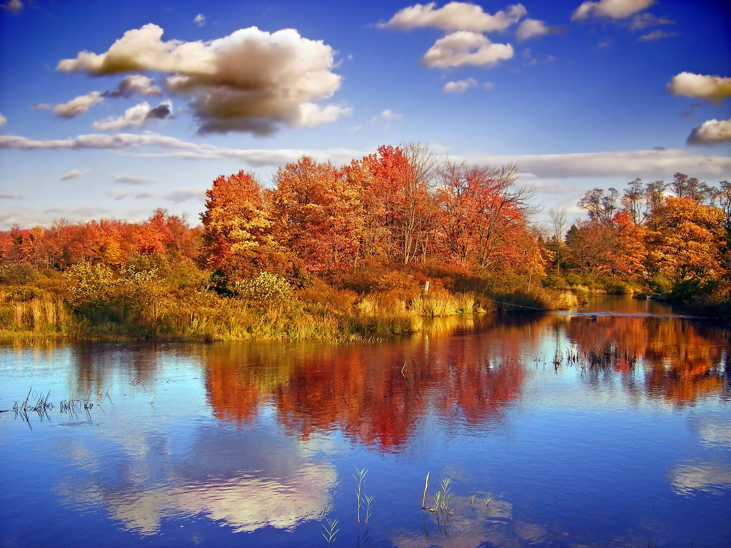 time, Monroe County, autumn, pond, cumulus, trees, outdoors, sky, Reflected, nature, yellow, body of water, scenics, leaf, leaves, landscape, reflection, HD Wallpaper