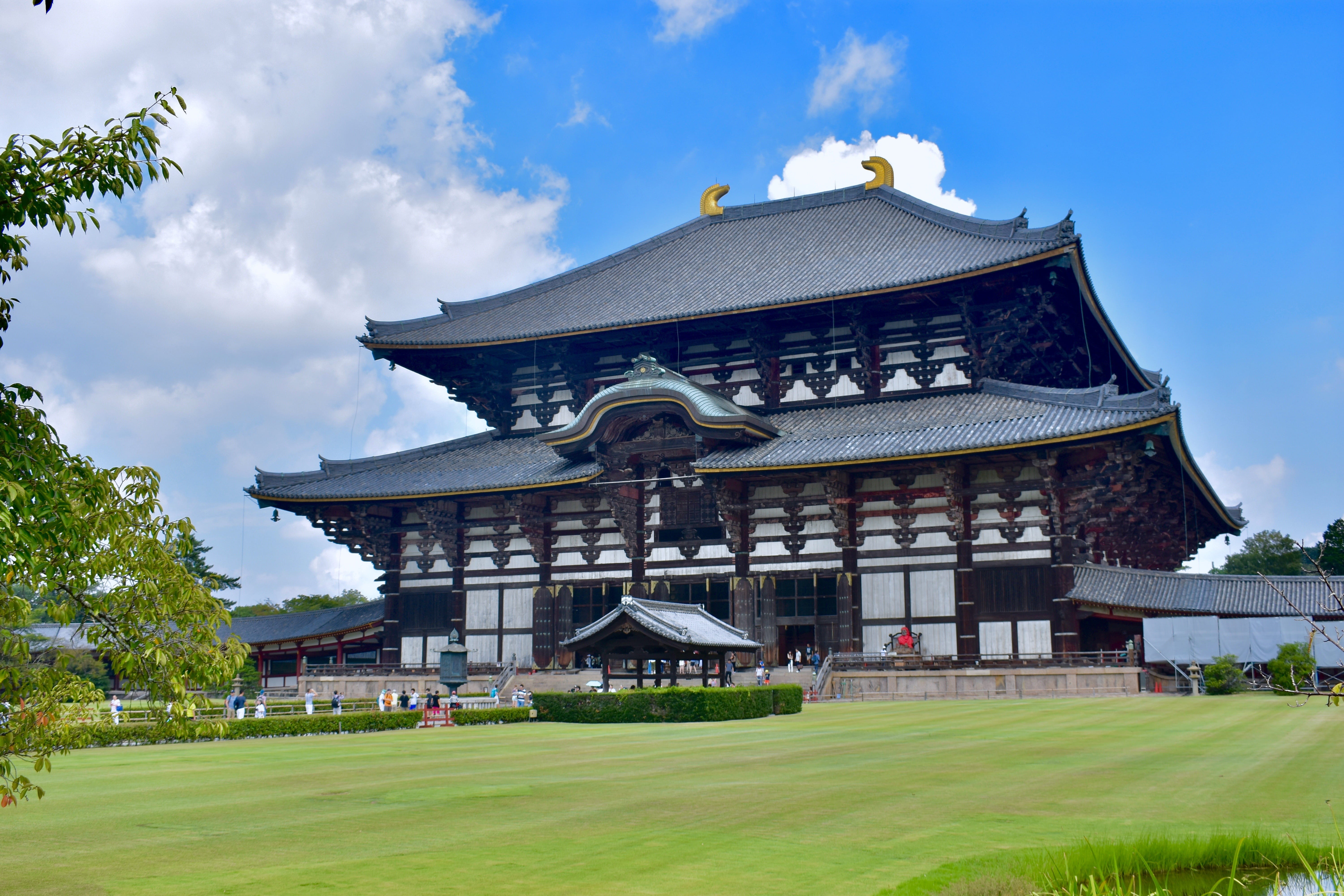 5K, sky, advertising, city, no people, japan, plant, built structure, architecture, zen, religion, nature, travel, tree, cloud - sky, asia, building, tourist, HD Wallpaper